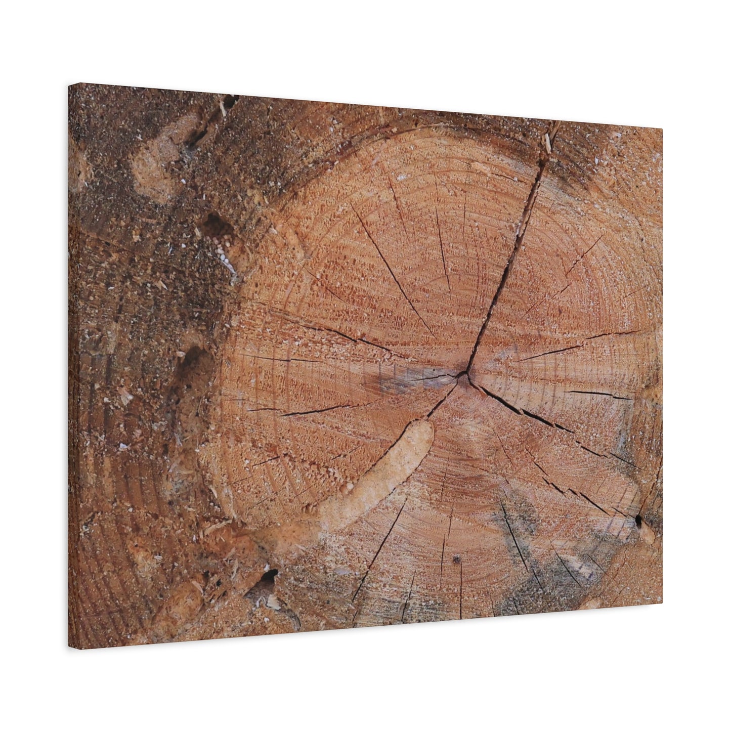 Timber Tale - Unique Frameless Canvas Wall Art