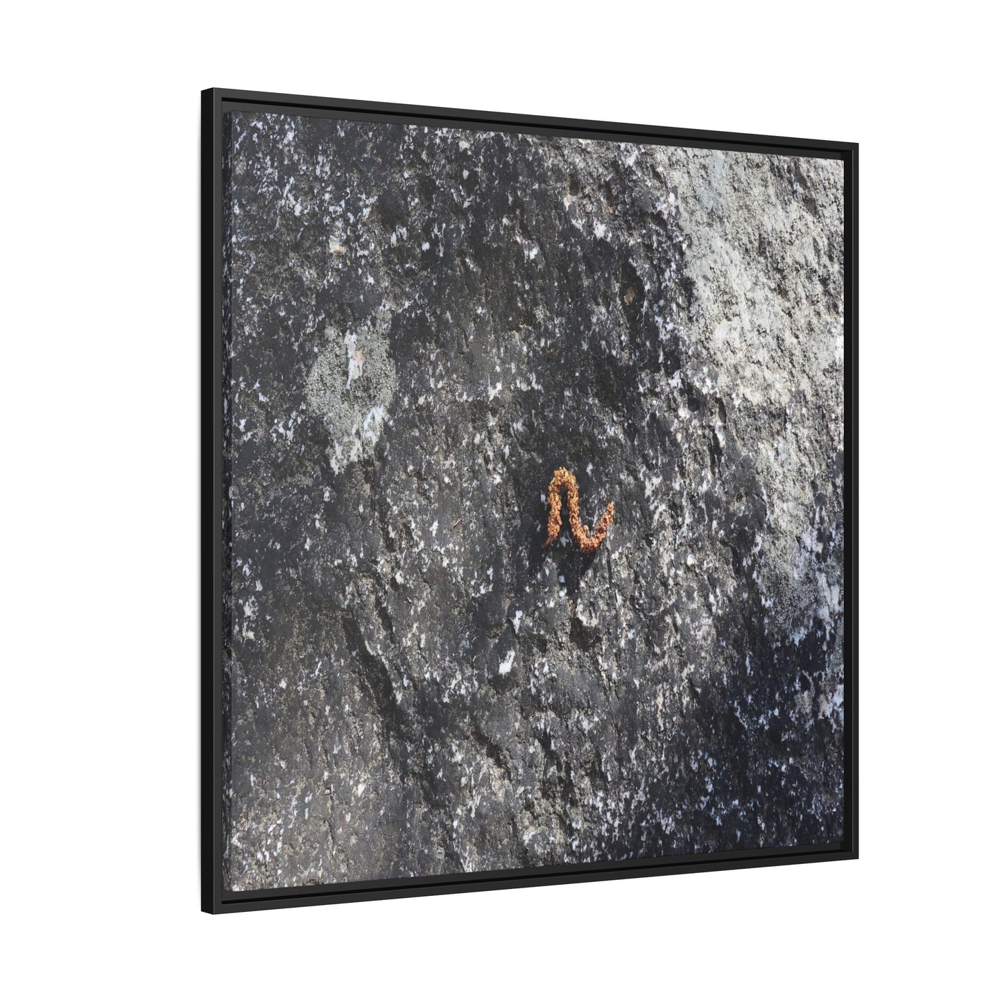 Volcanic Ash and Copper - Unique Stretched Canvas Wall Art