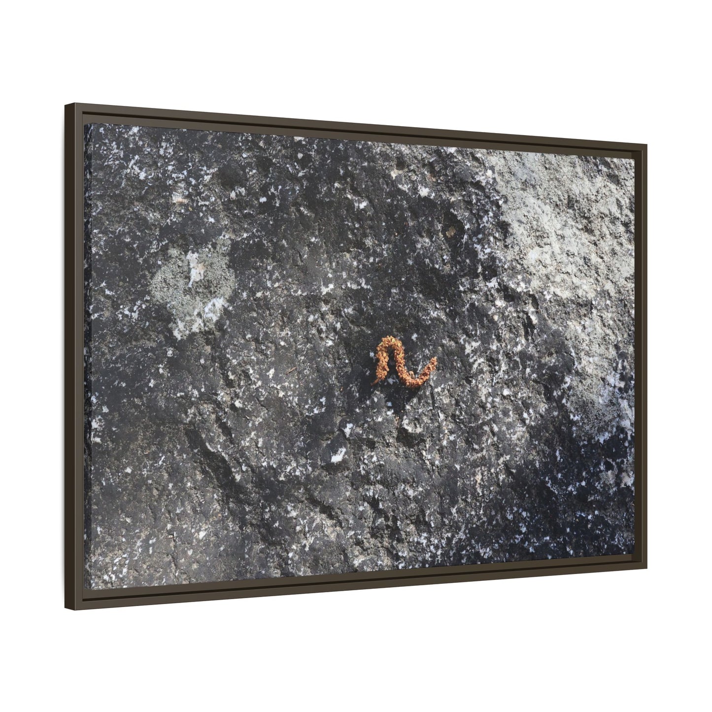 Volcanic Ash and Copper - Unique Stretched Canvas Wall Art
