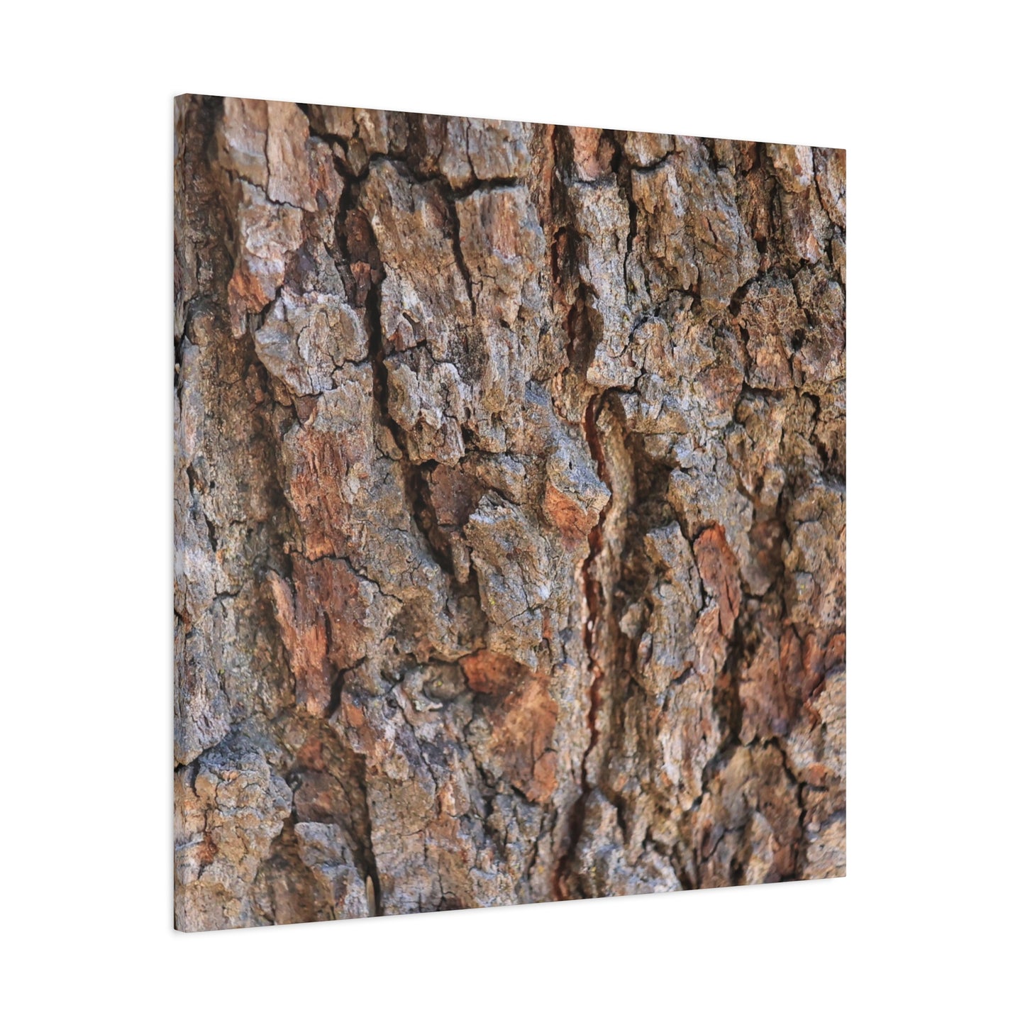 Roots of Time - Unique Frameless Canvas Wall Art