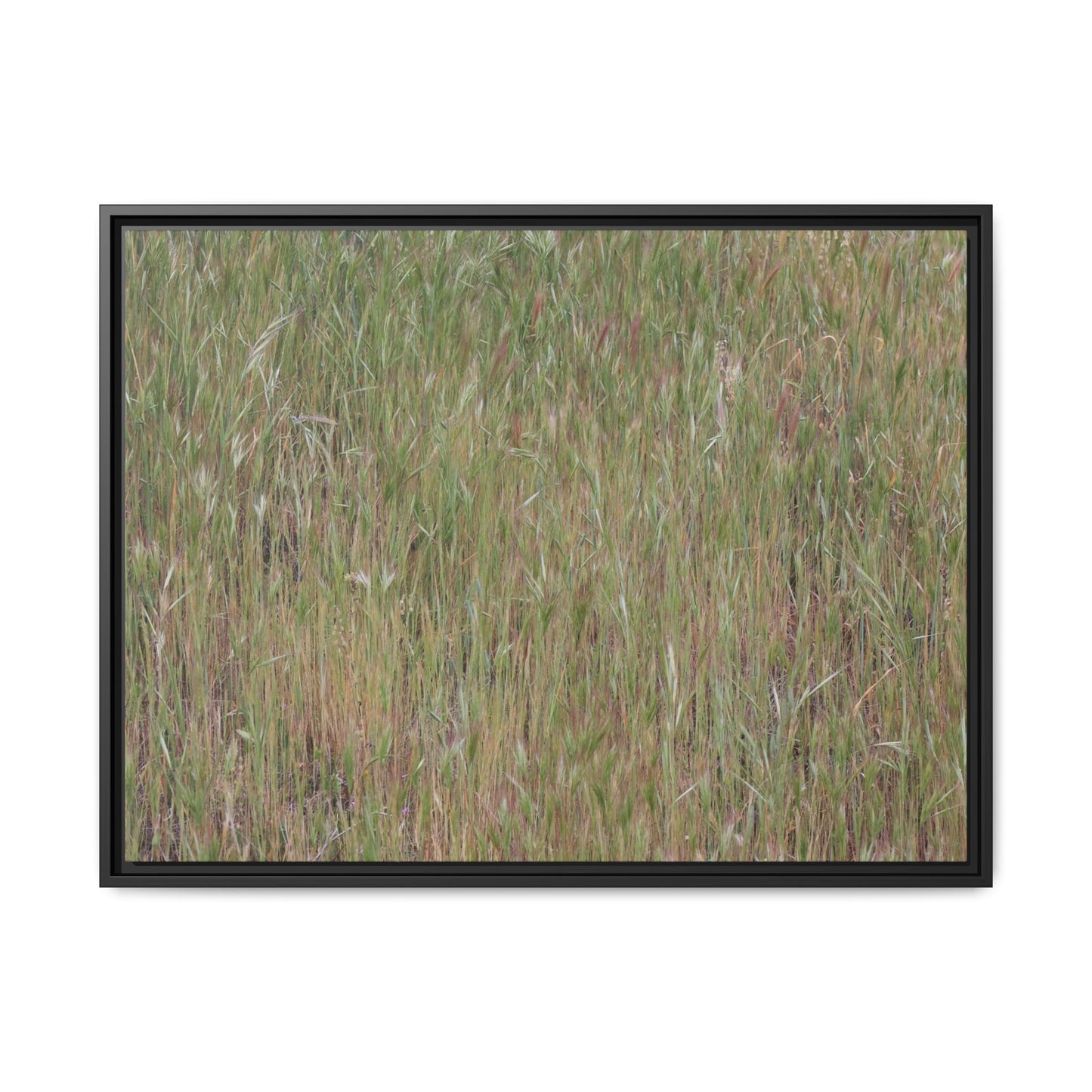 Field of Dreams - Unique Stretched Canvas Wall Art