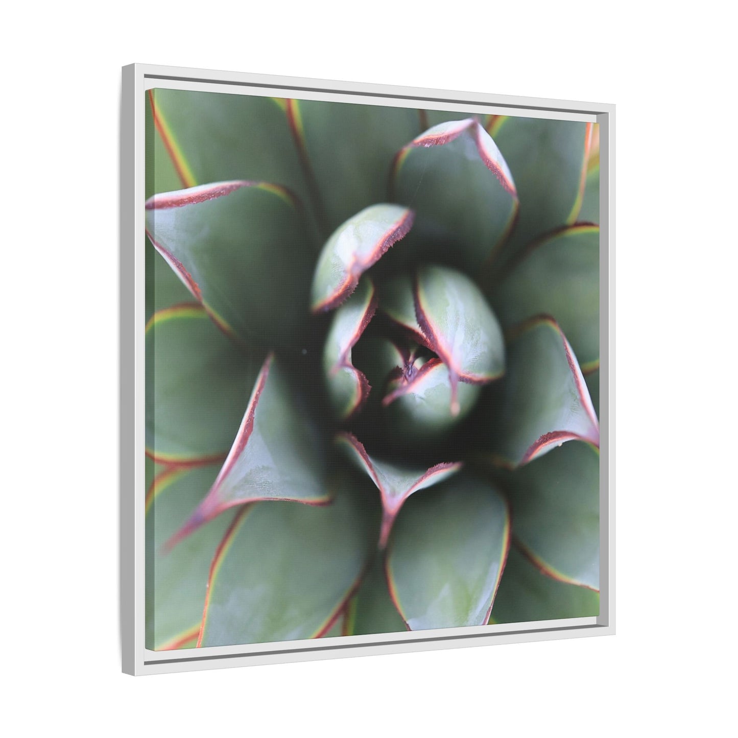 Spiky Elegance - Unique Stretched Canvas Wall Art