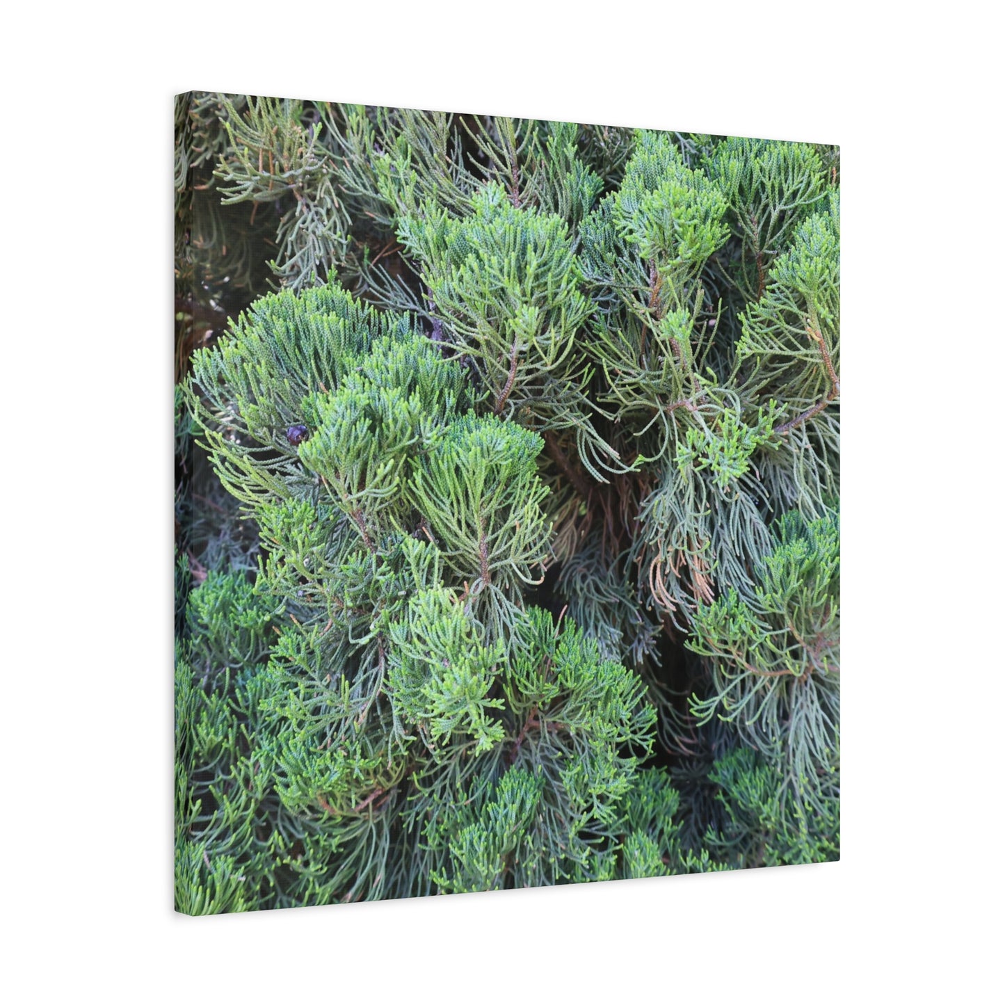 Green Labyrinth - Unique Frameless Canvas Wall Art