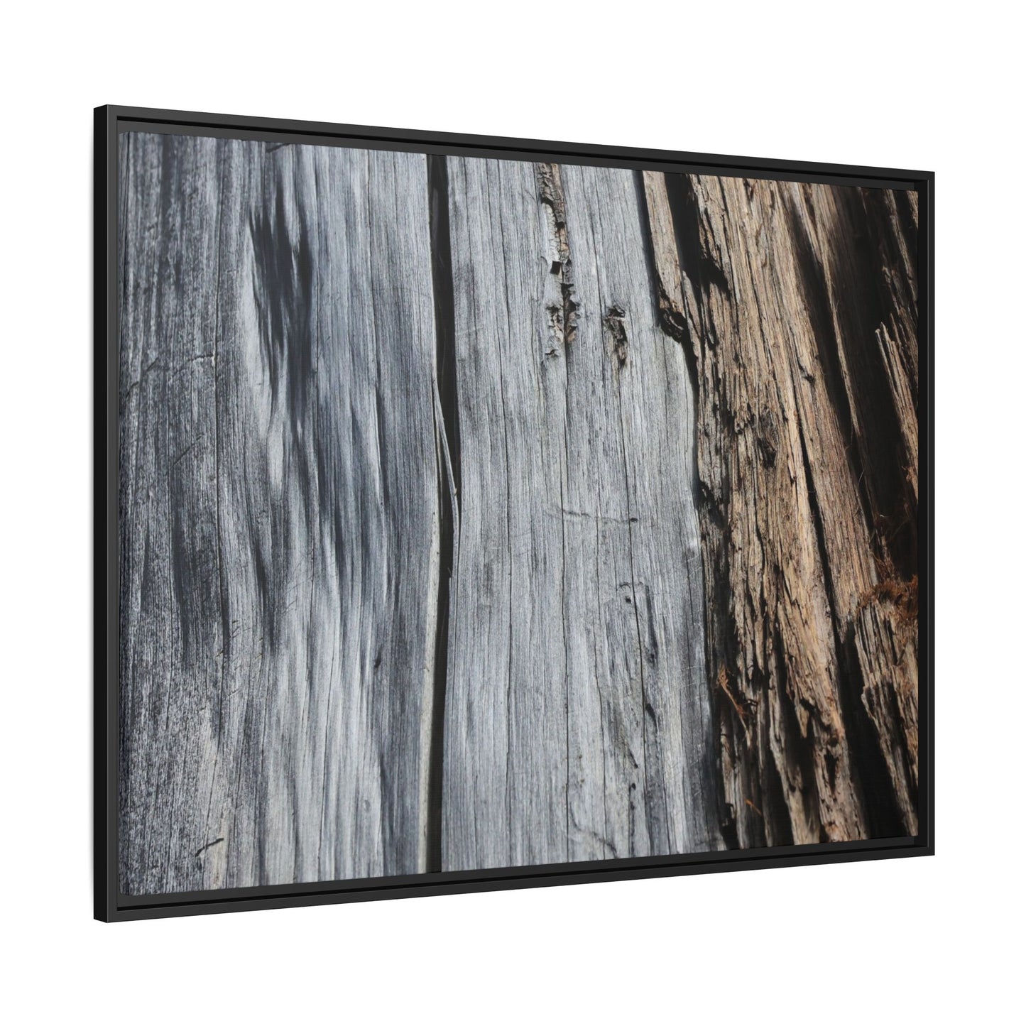 Wood's Lament - Unique Stretched Canvas Wall Art