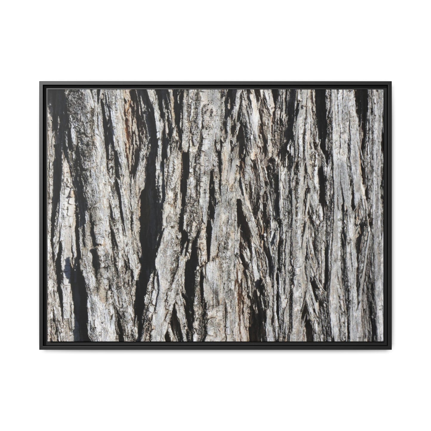 Nature's Abstract - Unique Stretched Canvas Wall Art