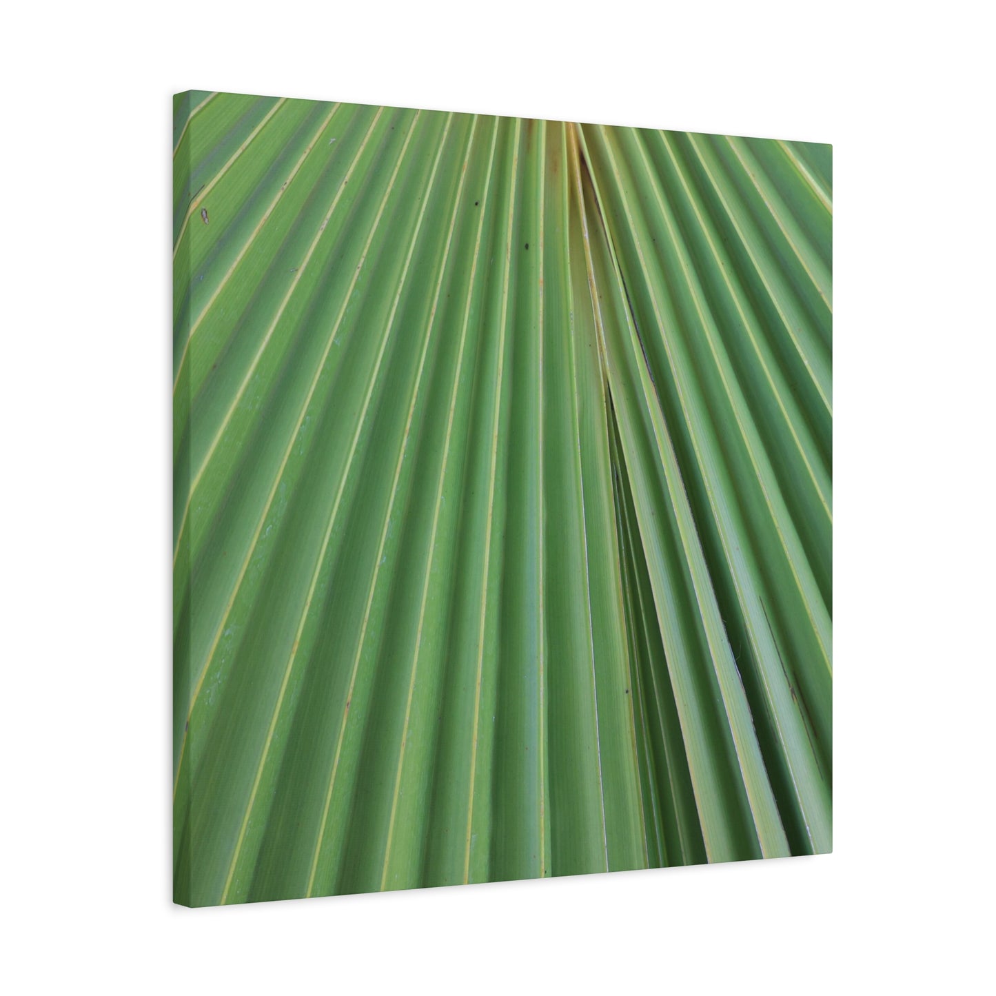 Fan of Green - Unique Frameless Canvas Wall Art