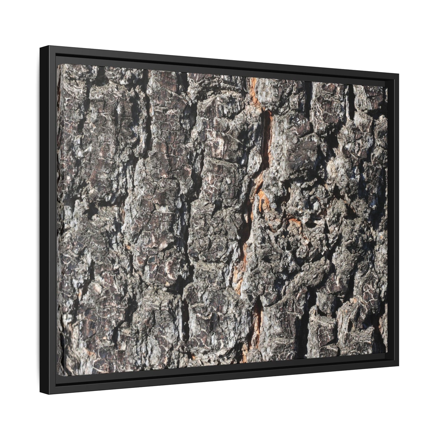 Aged Beauty - Unique Stretched Canvas Wall Art