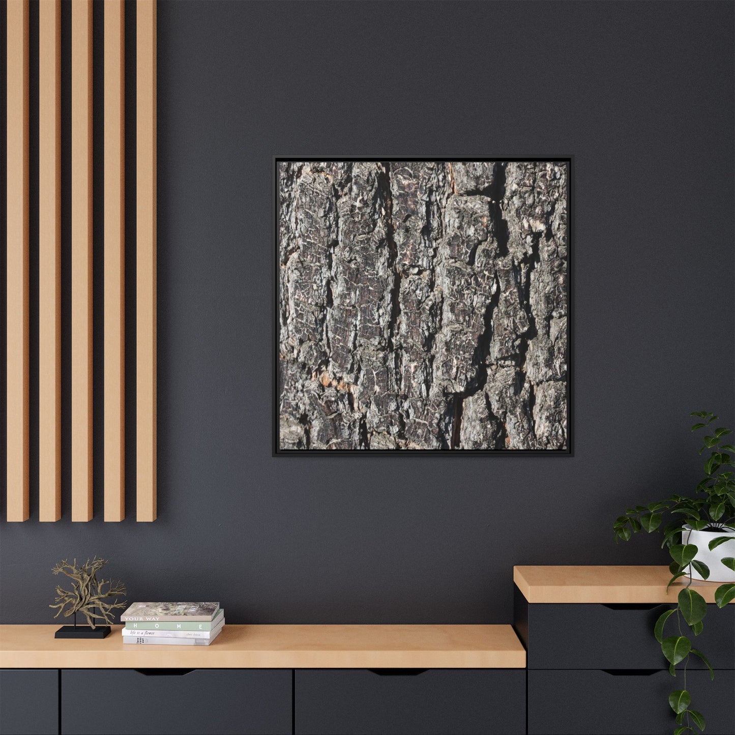 Bark Study in Gray - Unique Stretched Canvas Wall Art