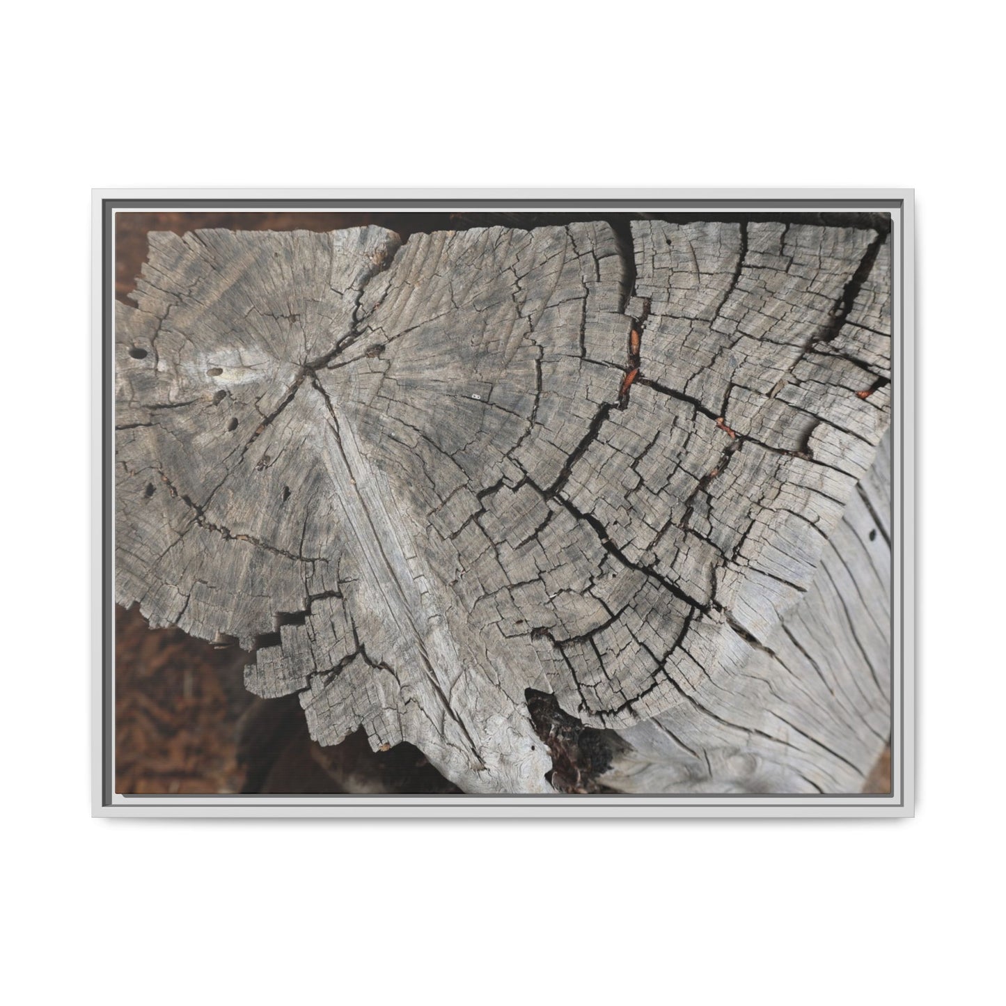 Time's Signature - Unique Stretched Canvas Wall Art