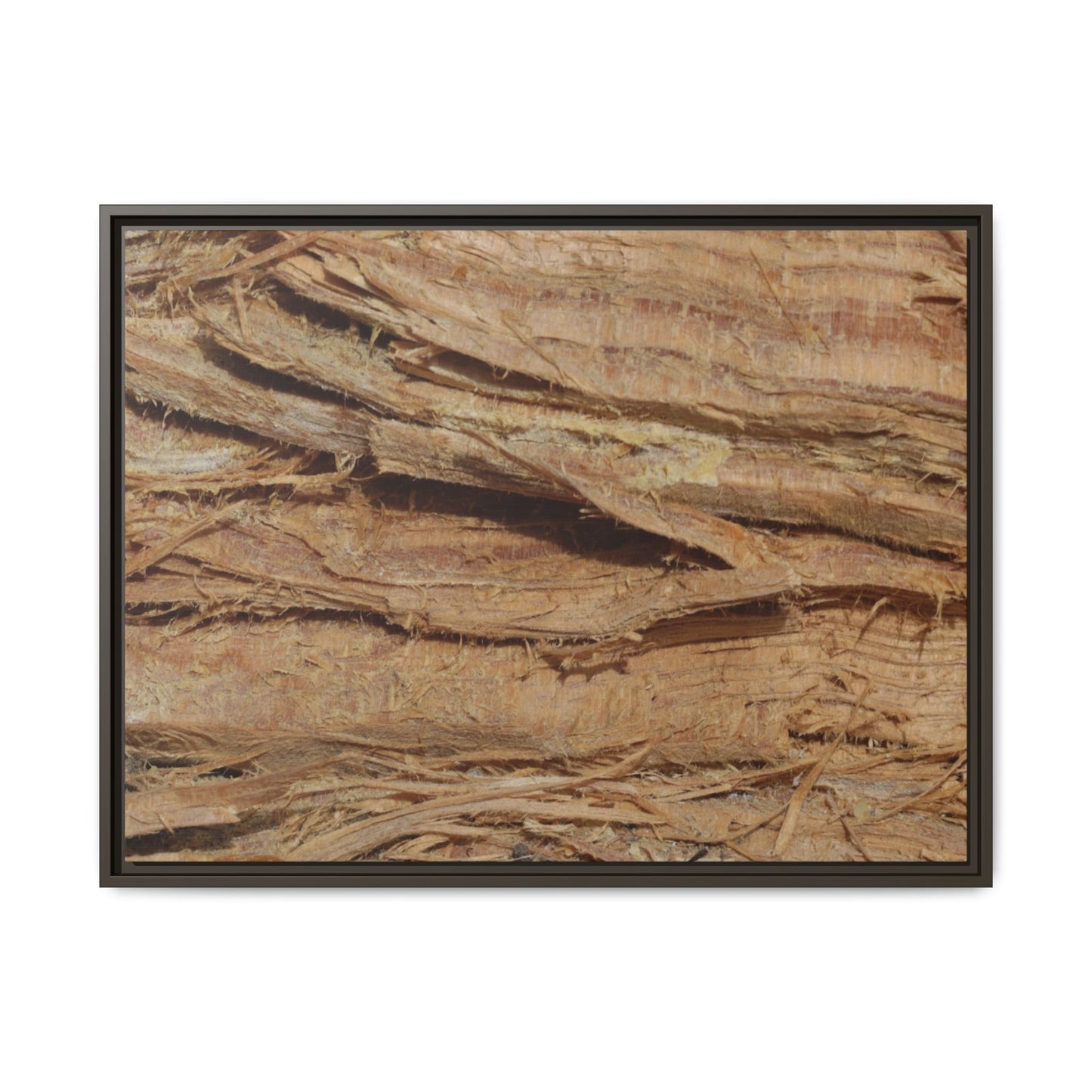 Splintered Bark - Unique Stretched Canvas Wall Art
