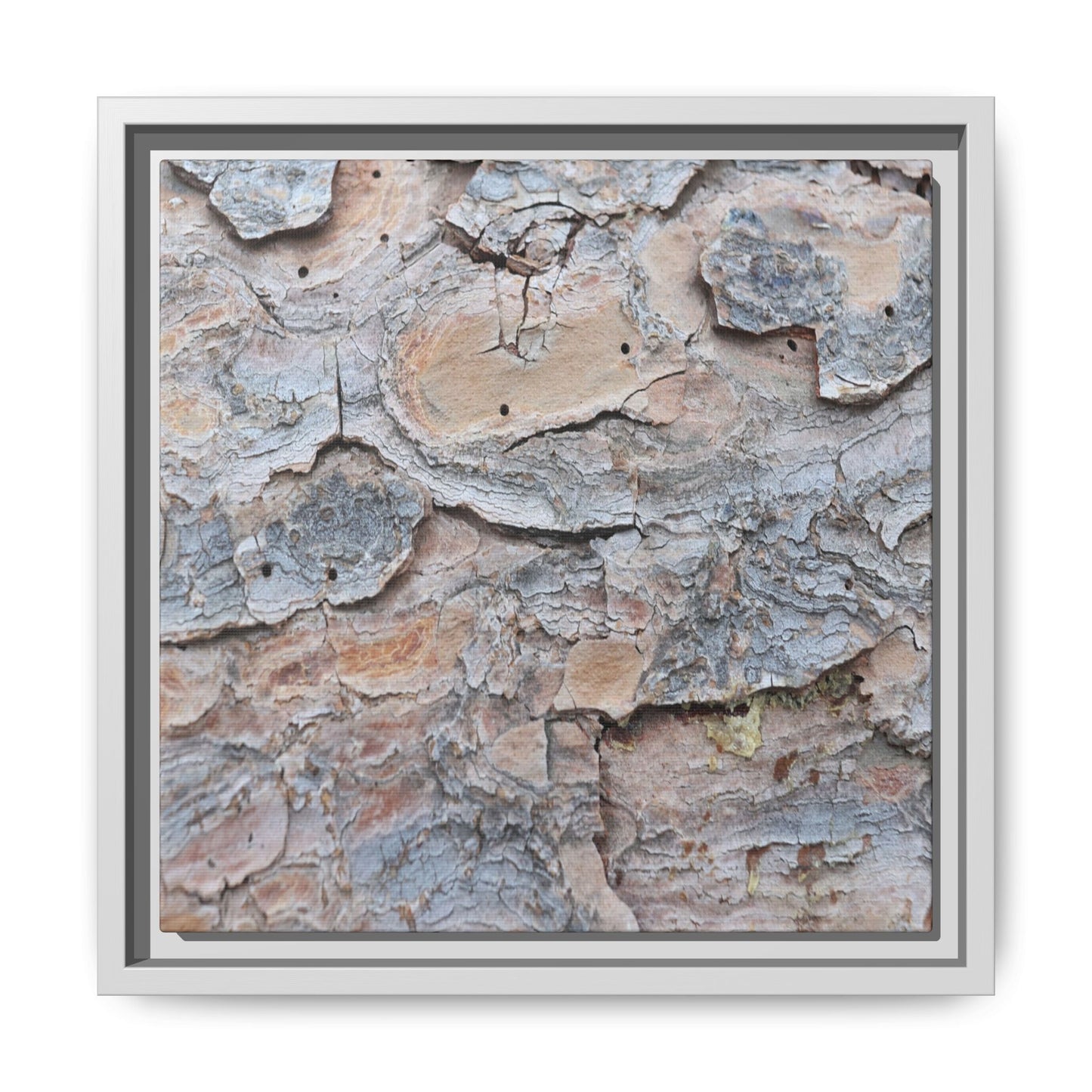 Peeling Memories - Unique Stretched Canvas Wall Art
