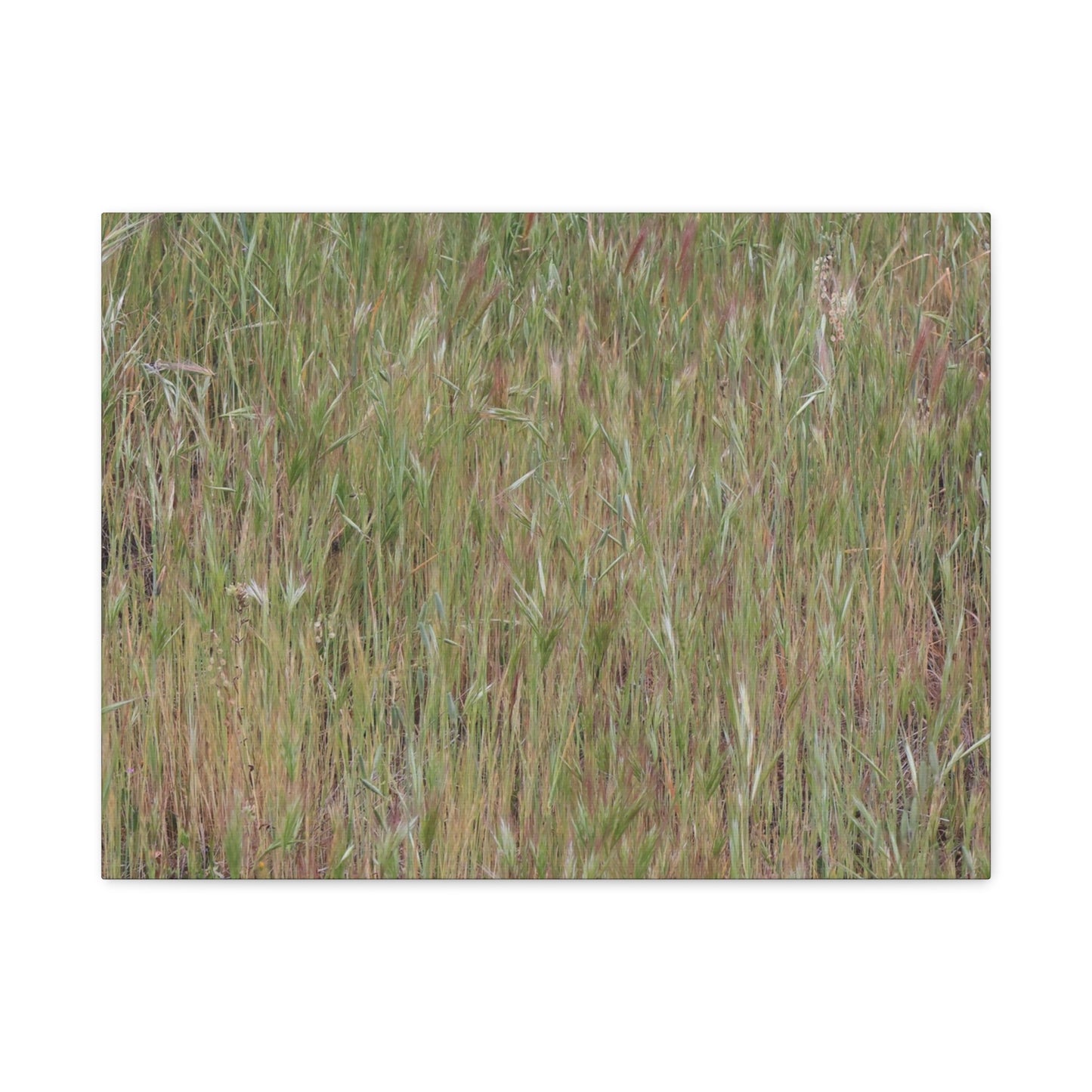 Whispers of the Prairie - Unique Frameless Canvas Wall Art