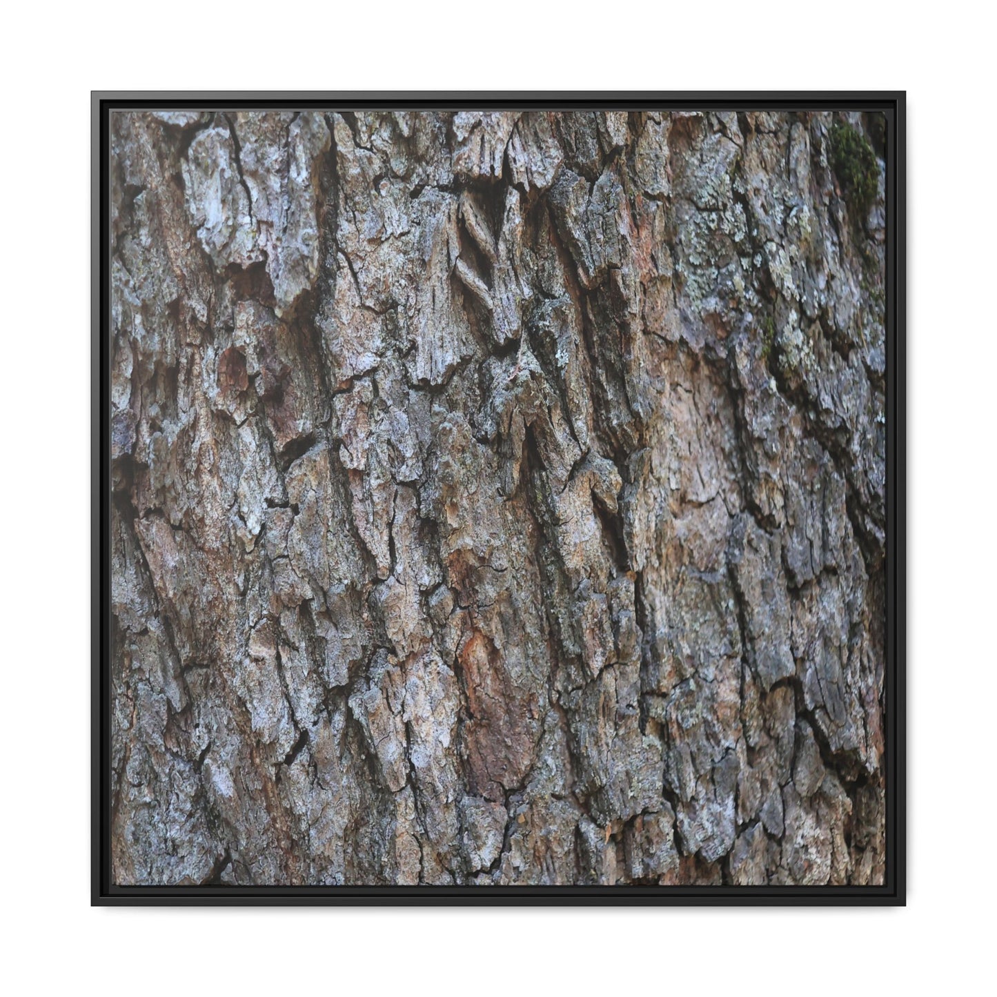 Woodland Skin - Unique Stretched Canvas Wall Art