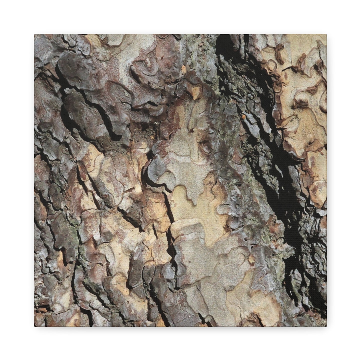 Tree Bark Symphony - Unique Frameless Canvas Wall Art