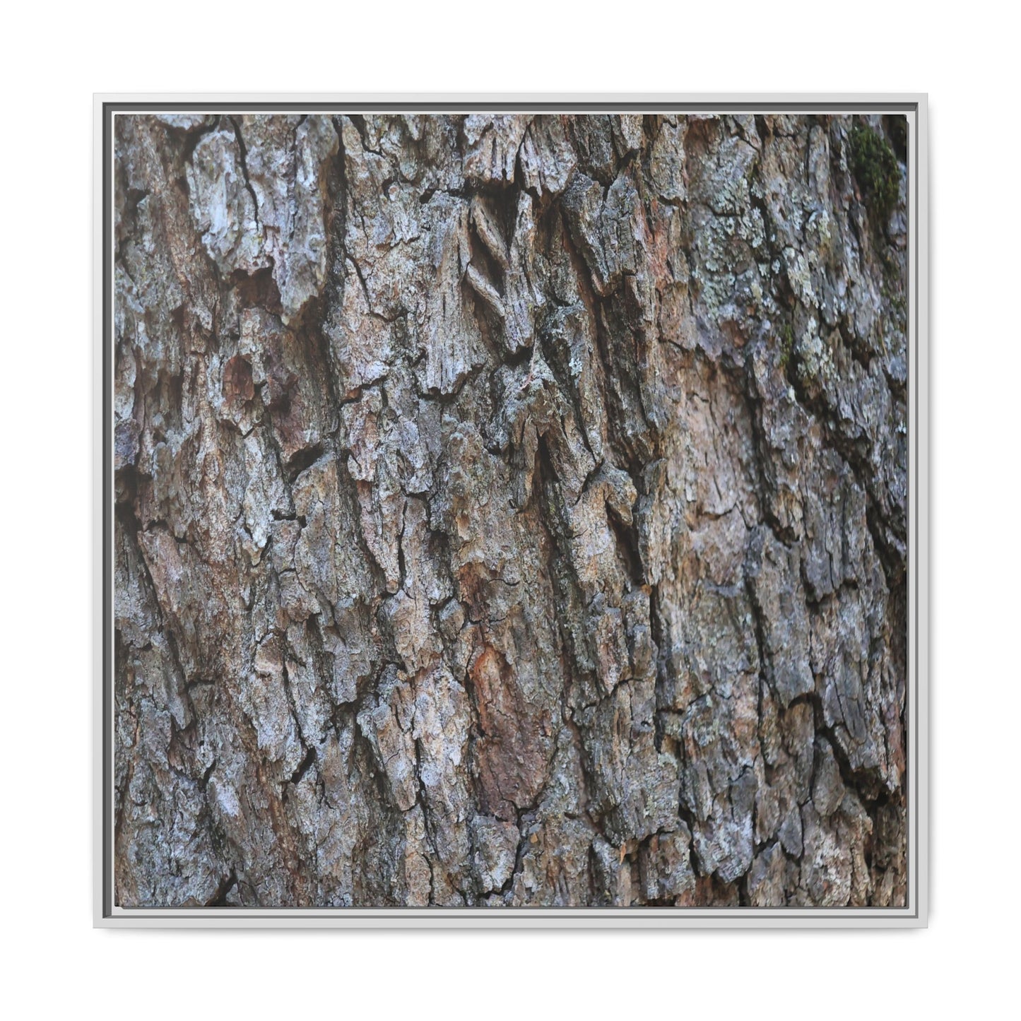 Woodland Skin - Unique Stretched Canvas Wall Art