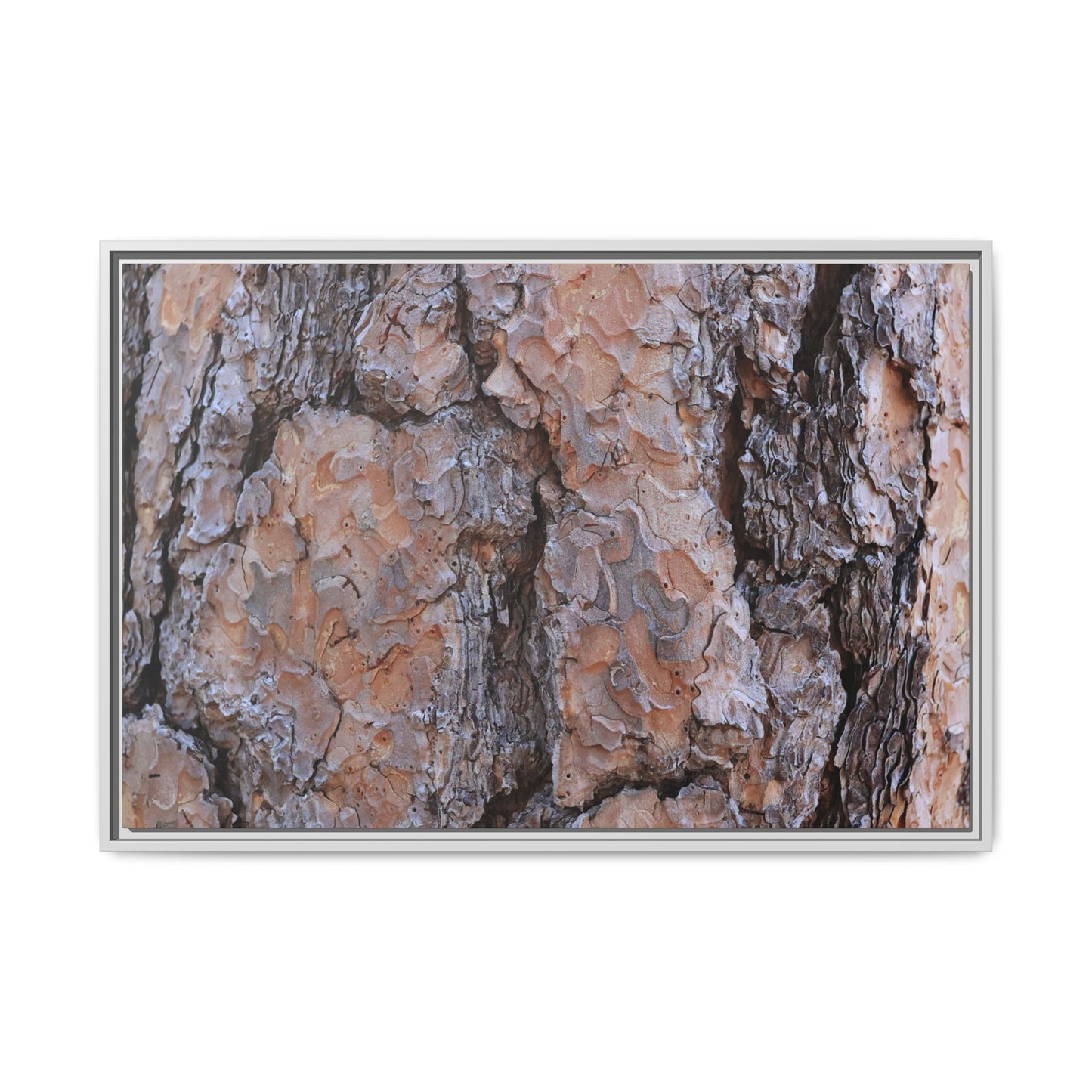 Tree Skin Symphony - Unique Stretched Canvas Wall Art