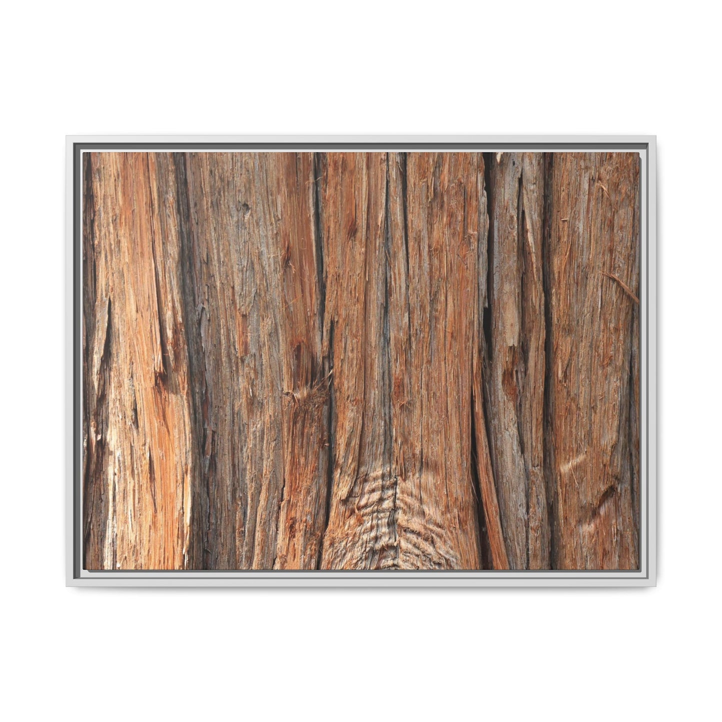 Echoes of Timber - Unique Stretched Canvas Wall Art