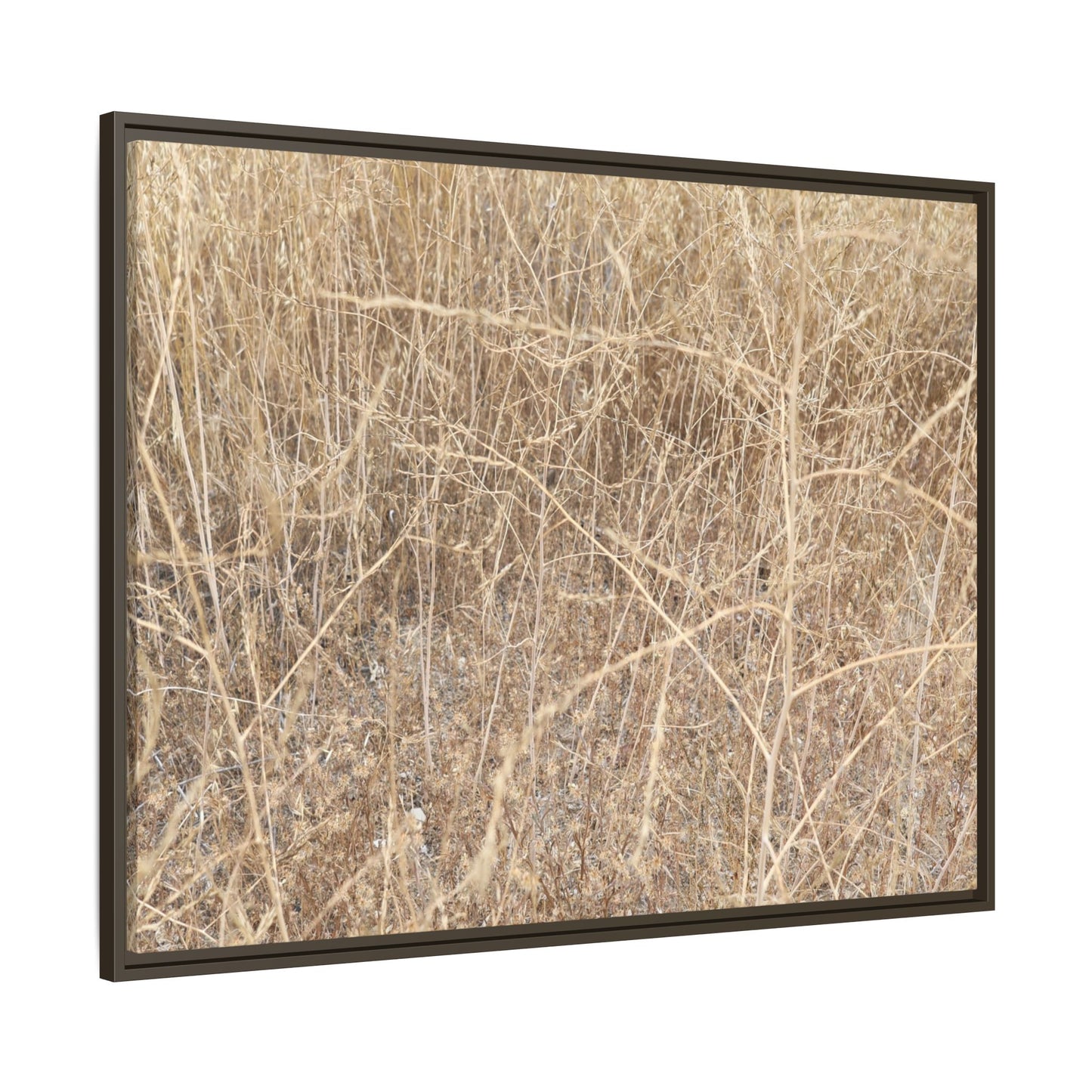 Golden Stalks - Unique Stretched Canvas Wall Art