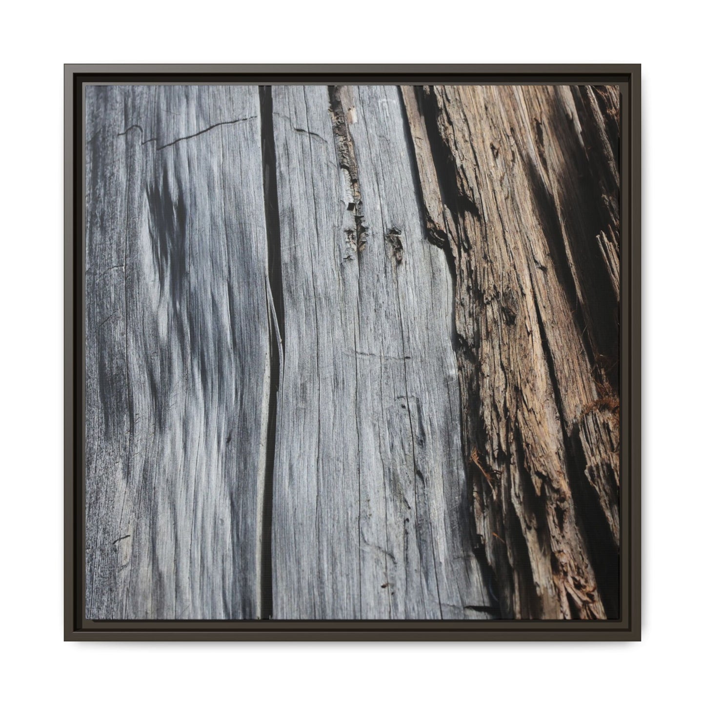 Wood's Lament - Unique Stretched Canvas Wall Art