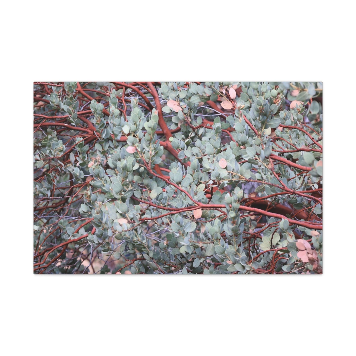 Whispers of Silver and Rust - Unique Frameless Canvas Wall Art