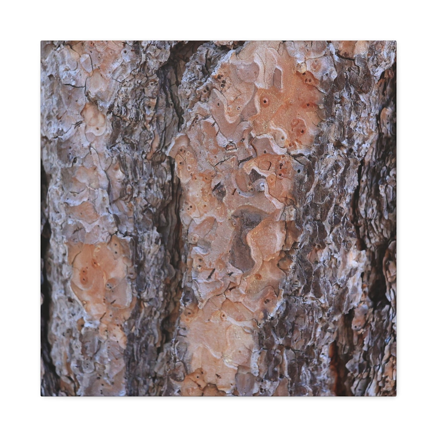 Terracotta Textures - Unique Frameless Canvas Wall Art