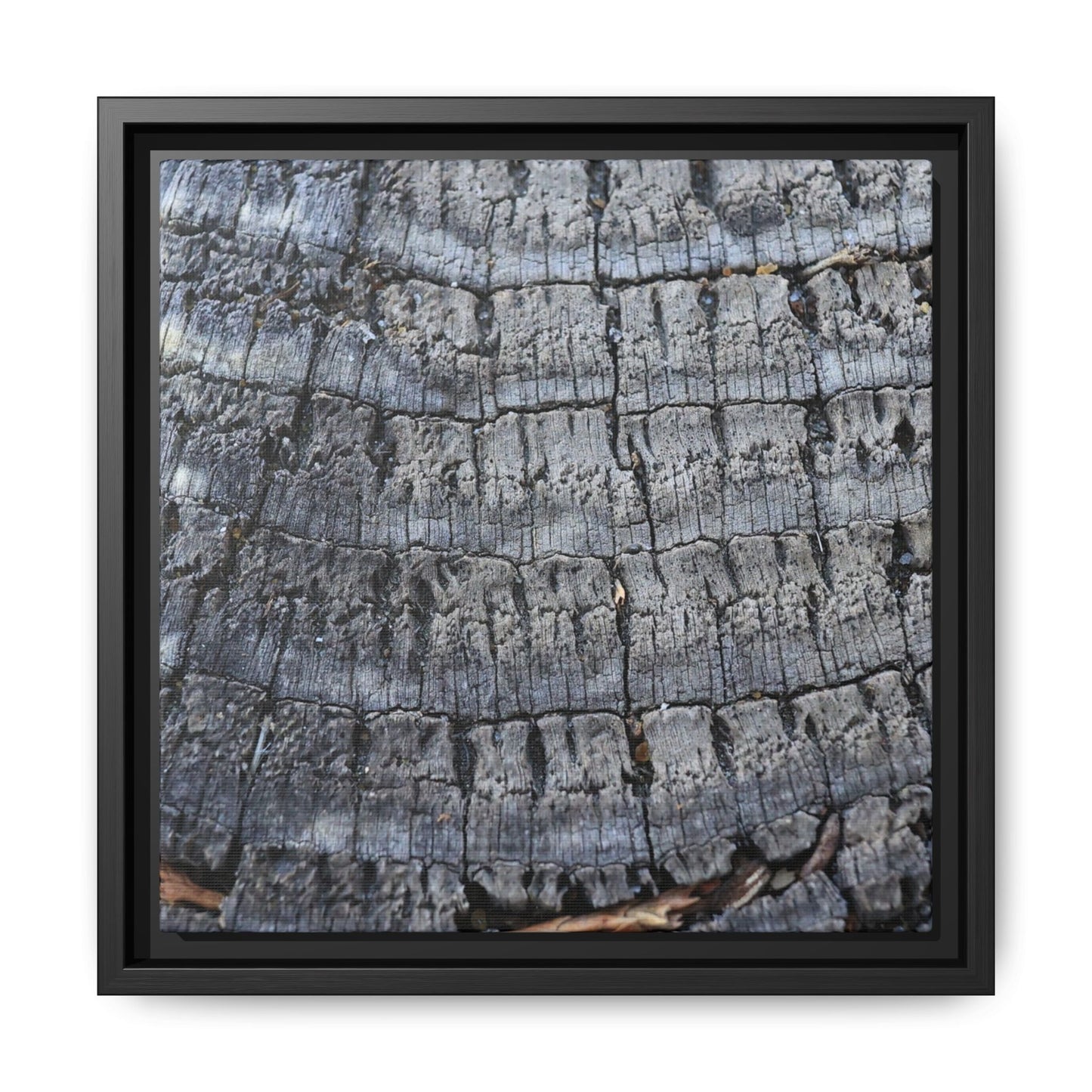 Charred Memories - Unique Stretched Canvas Wall Art