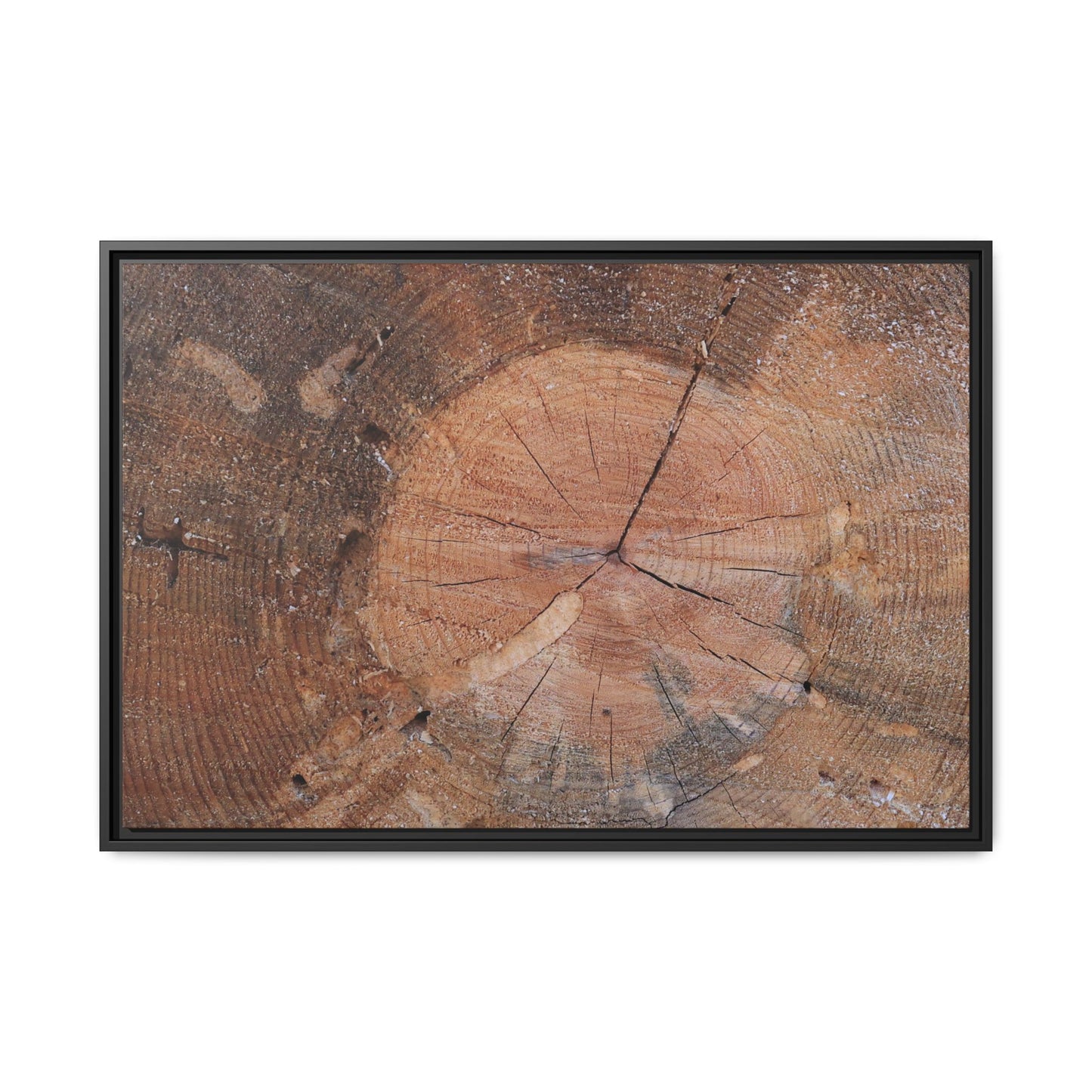 Concentric Memories - Unique Stretched Canvas Wall Art