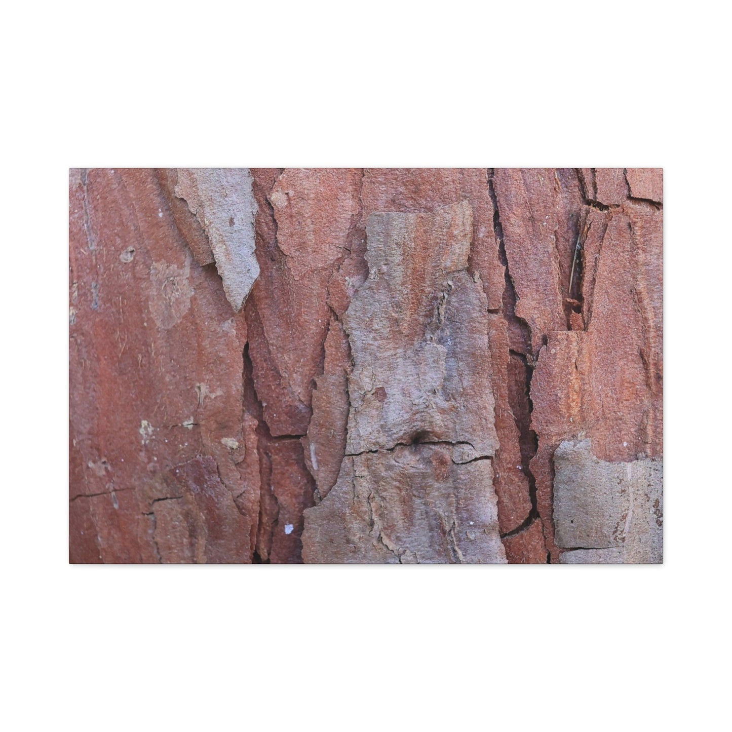 Fractal Rust - Unique Frameless Canvas Wall Art
