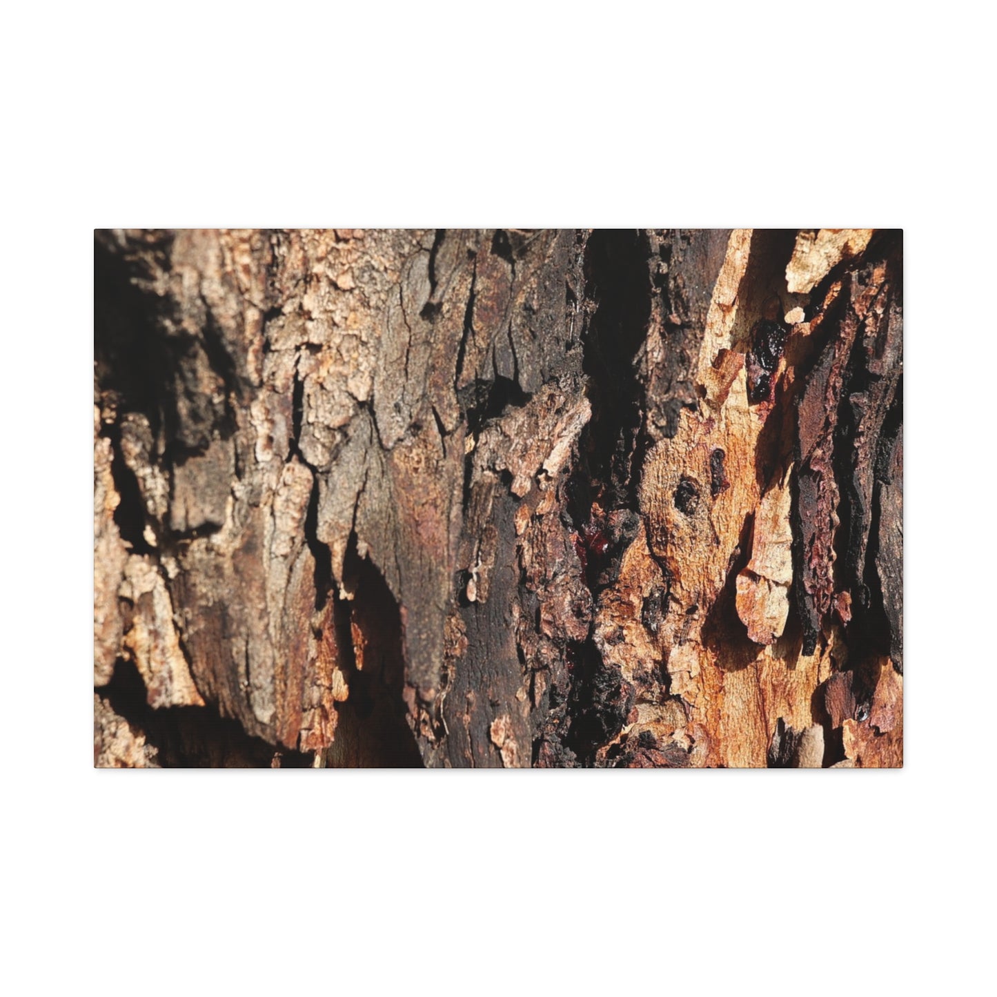 Wooden Terrain - Unique Frameless Canvas Wall Art