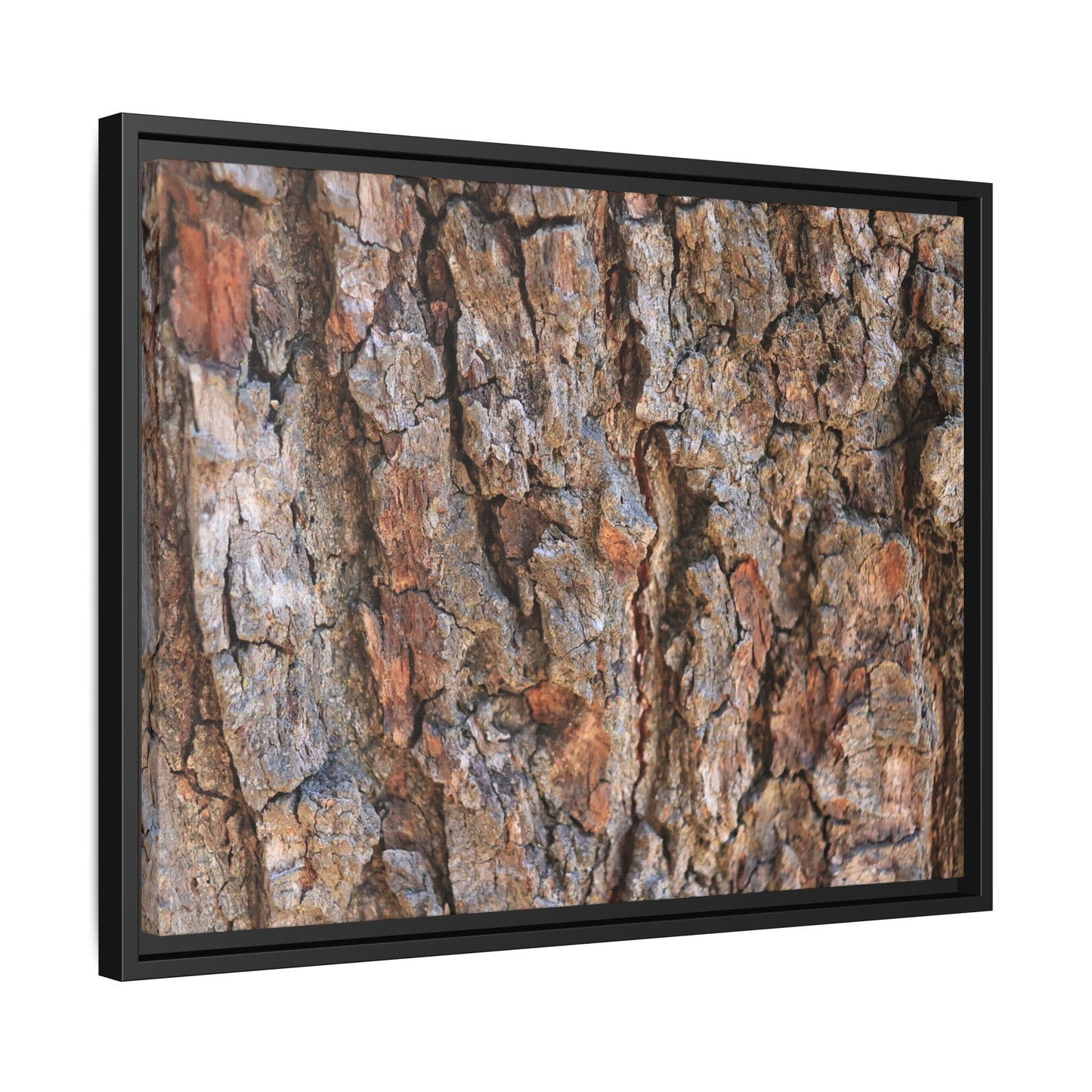 Tree's Timeworn Tale - Unique Stretched Canvas Wall Art