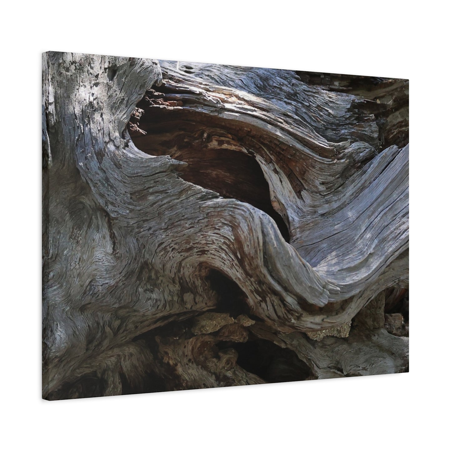 Twisted Fate - Unique Frameless Canvas Wall Art
