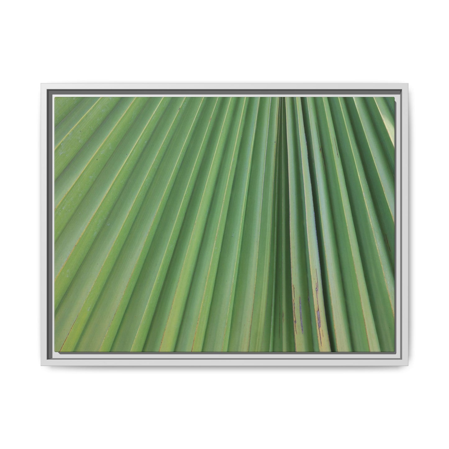 Emerald Rays - Unique Stretched Canvas Wall Art