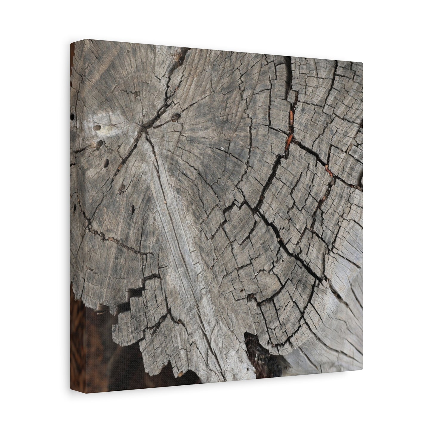 Cracked Memories - Unique Frameless Canvas Wall Art