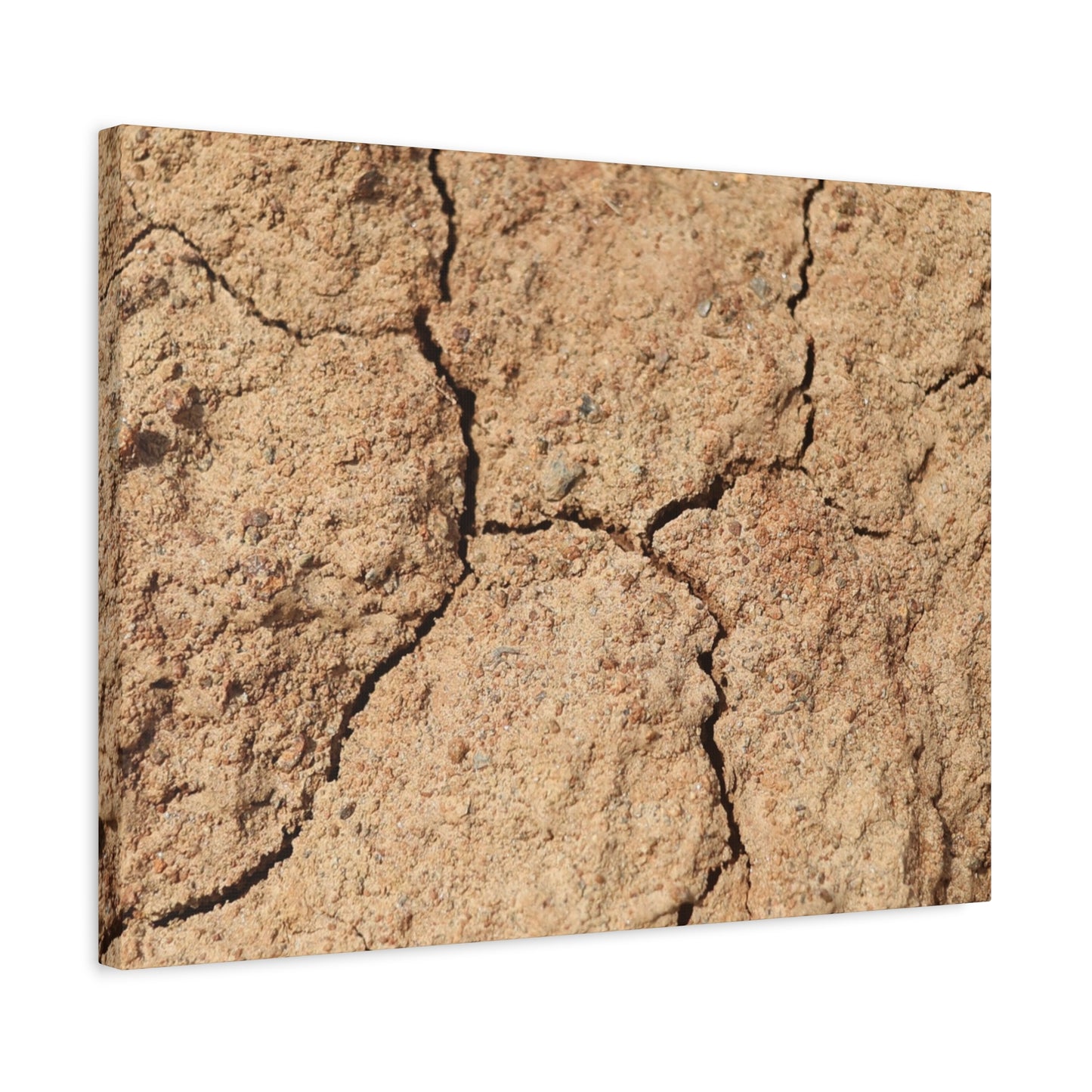 Cracked Earth's Lament - Unique Frameless Canvas Wall Art
