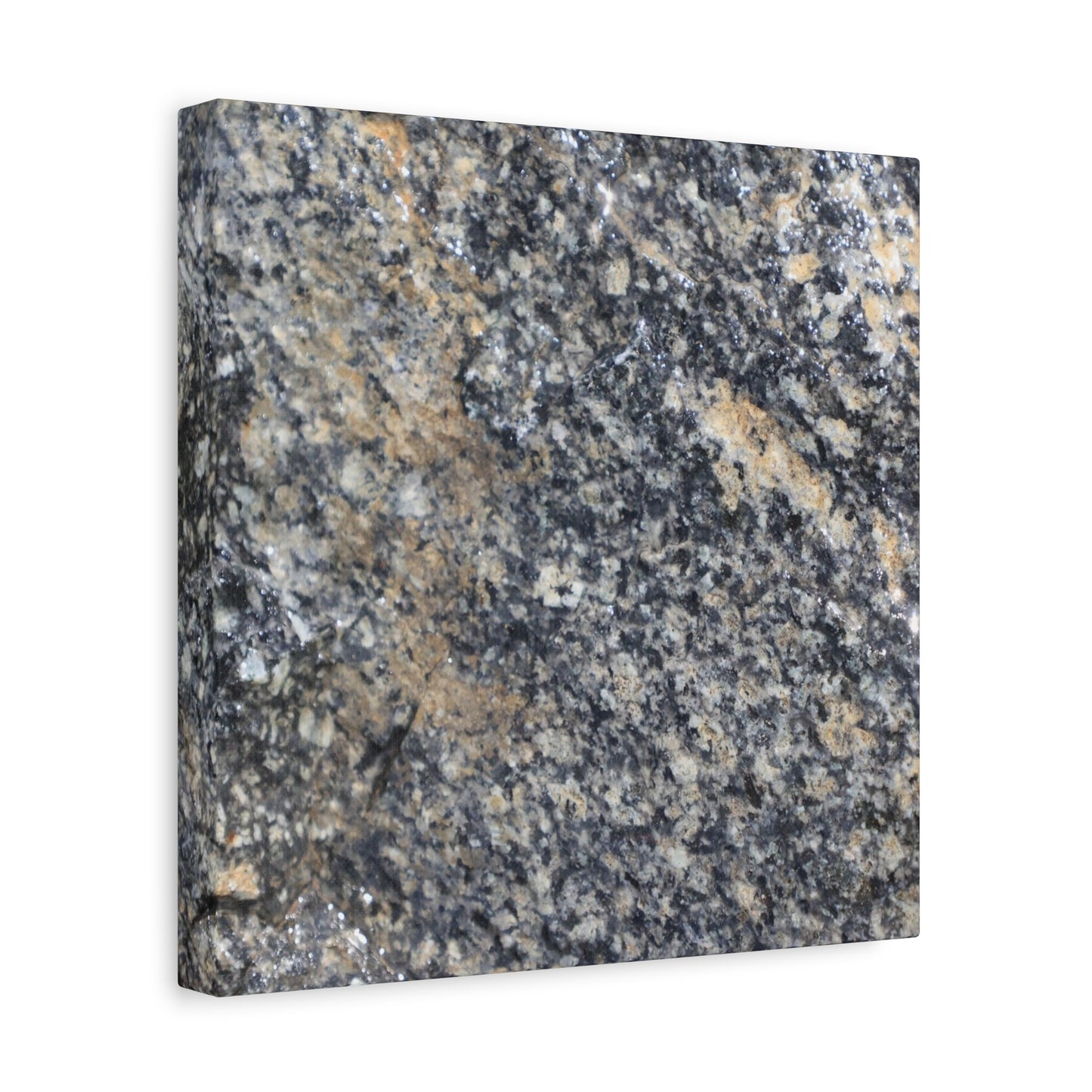 Metamorphic Memory - Unique Frameless Canvas Wall Art