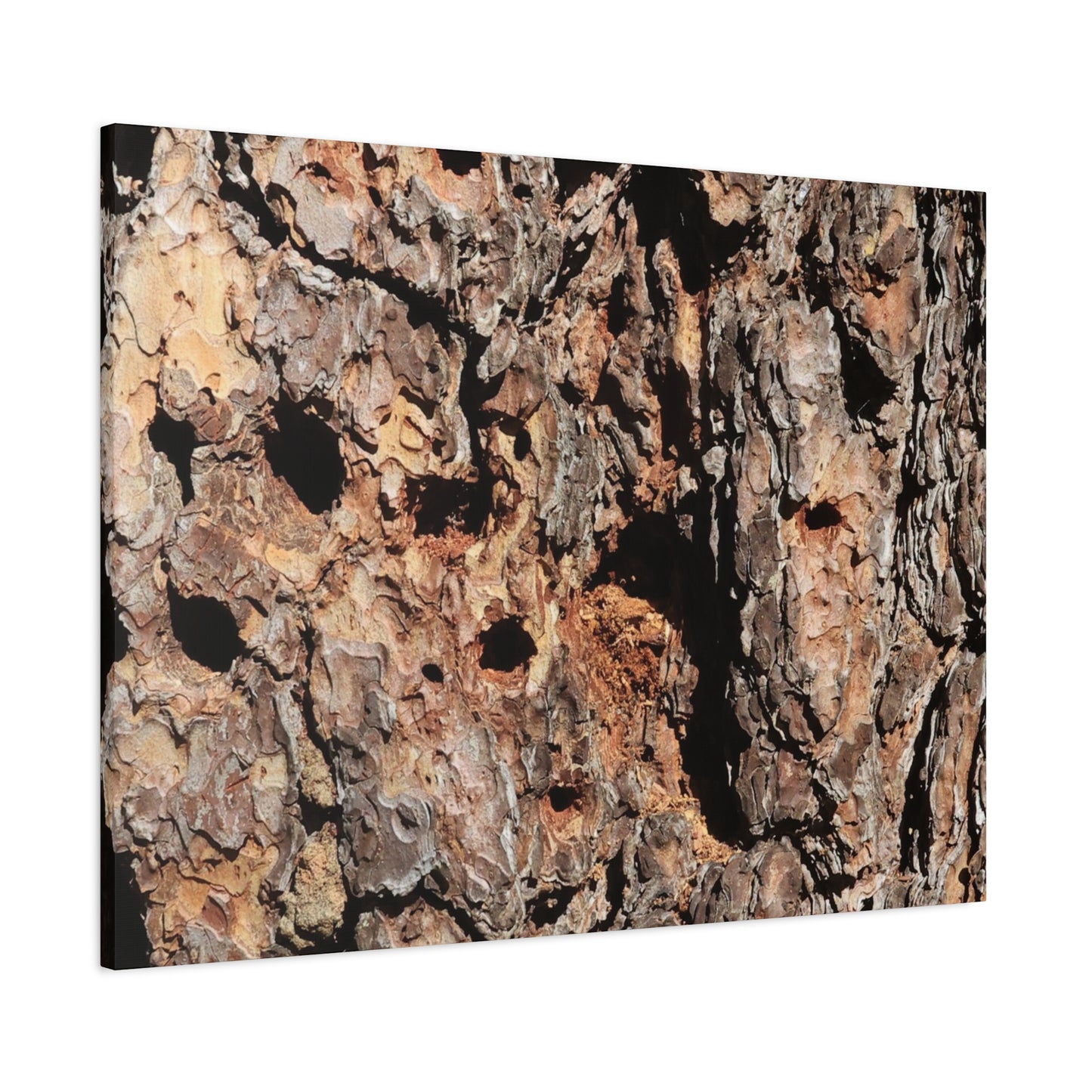 Tree Bark Mosaic - Unique Frameless Canvas Wall Art