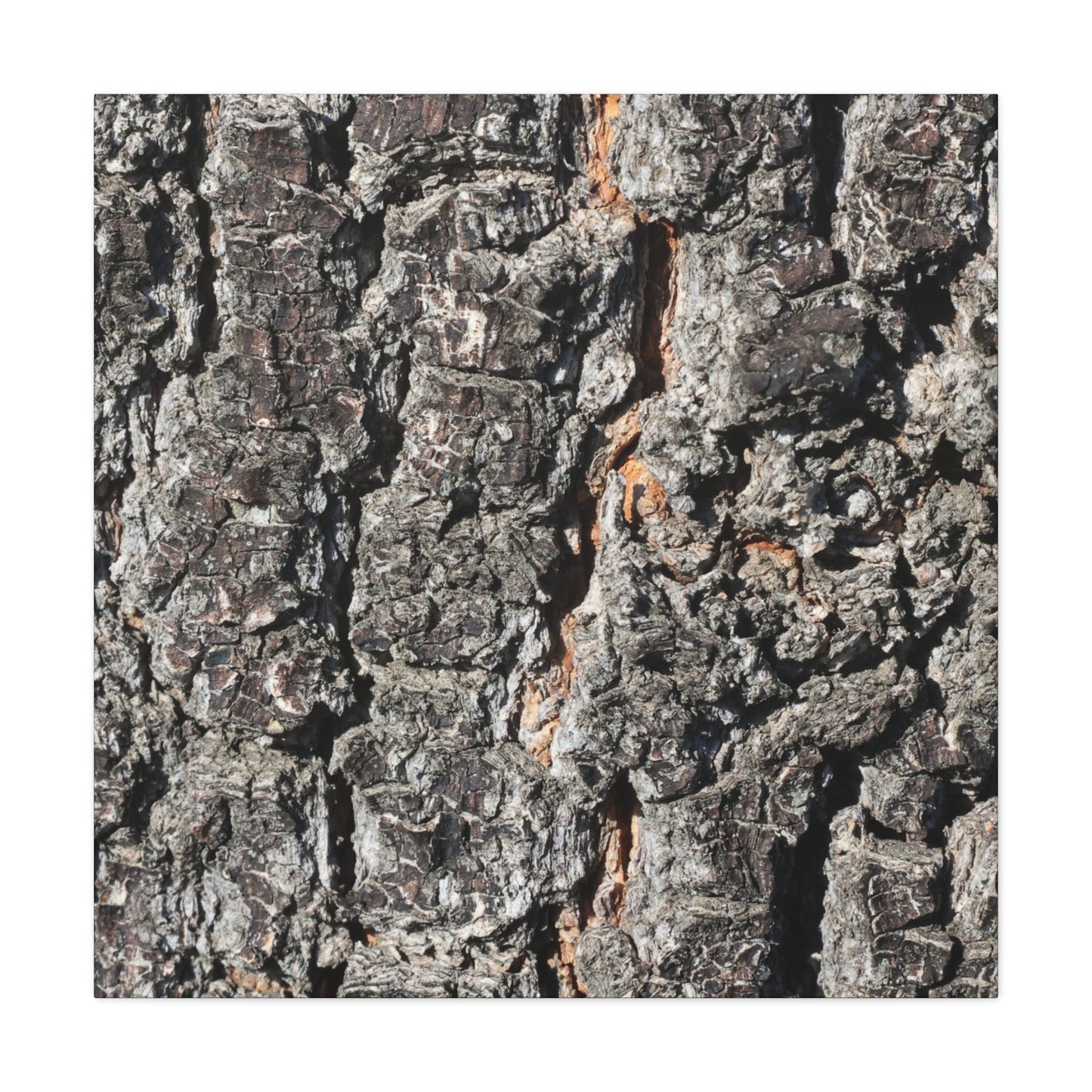 Arboreal Skin - Unique Frameless Canvas Wall Art