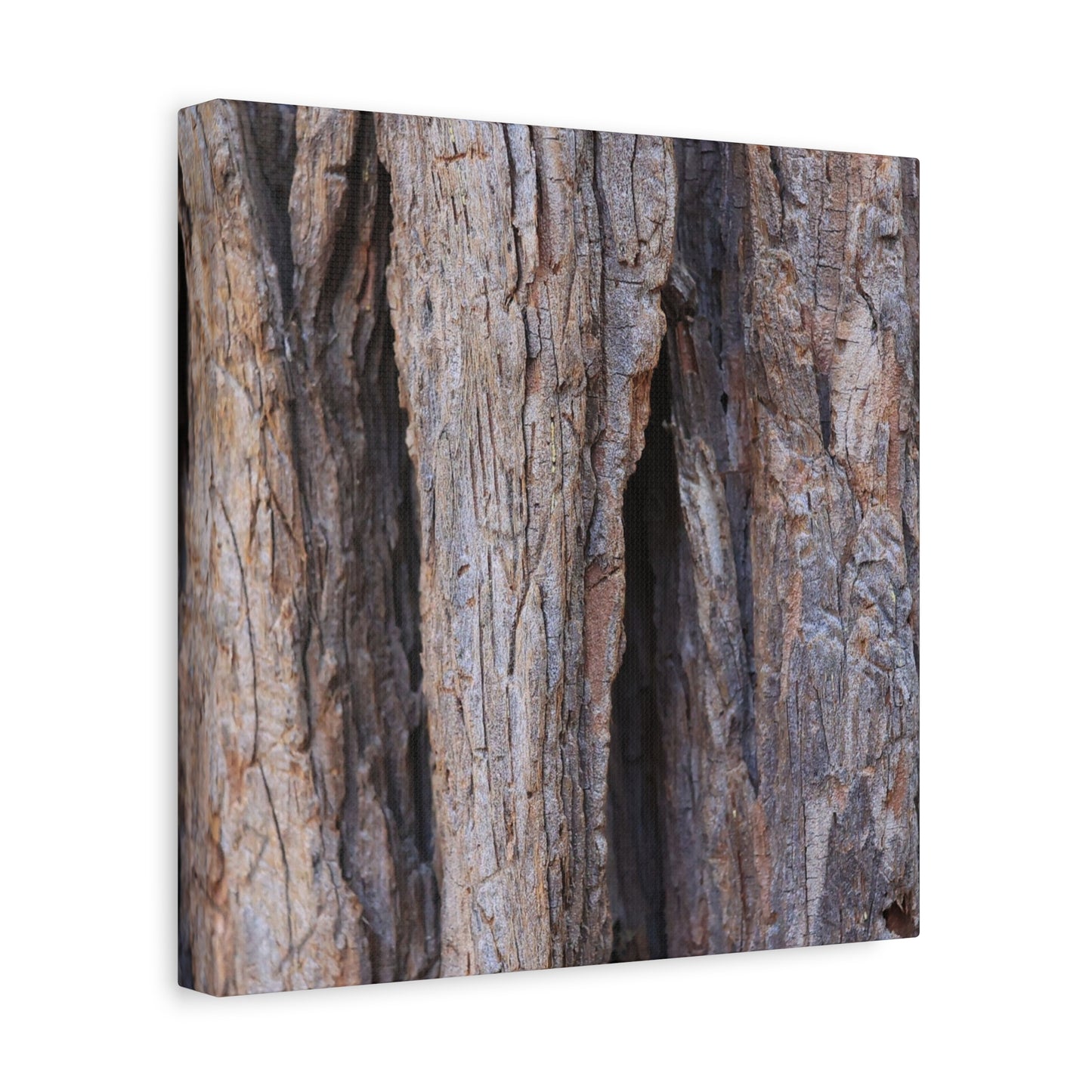 Fractal Skin - Unique Frameless Canvas Wall Art