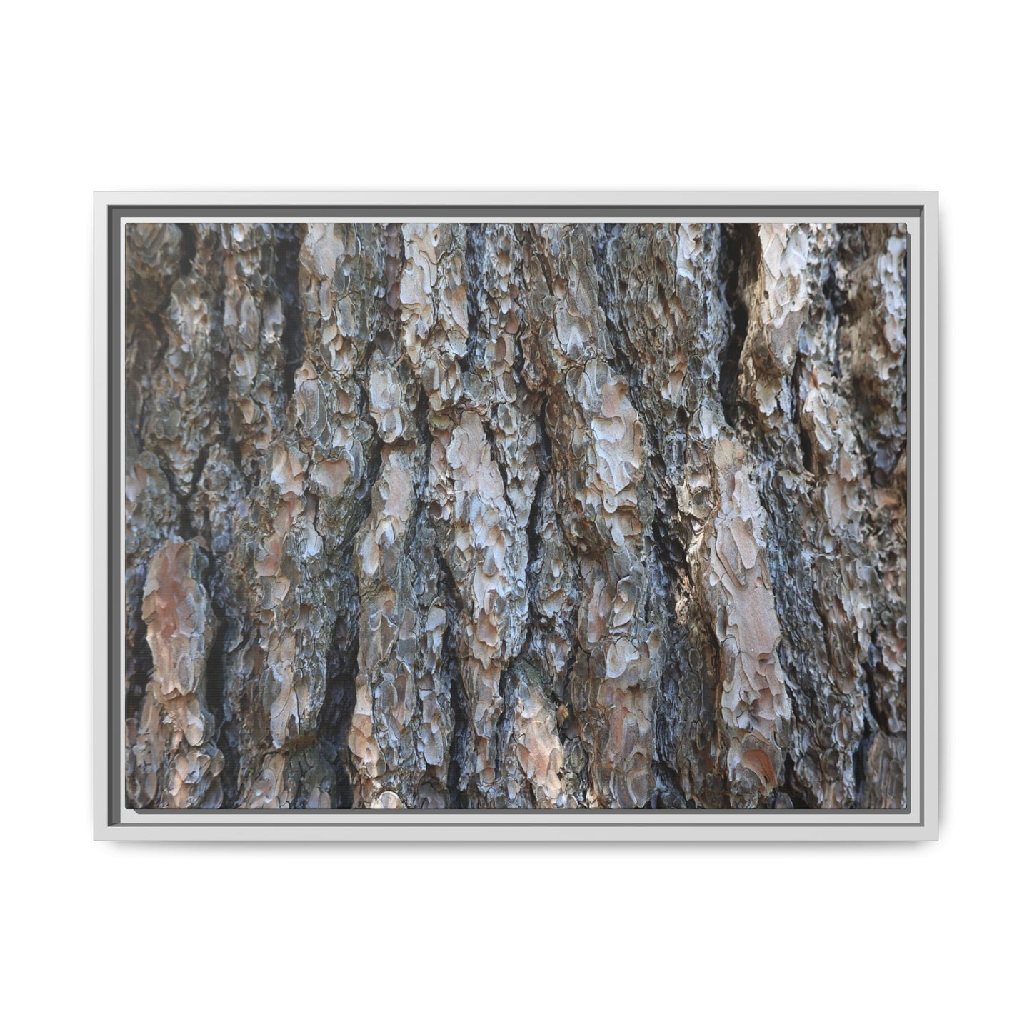 Bark Whispers - Unique Stretched Canvas Wall Art
