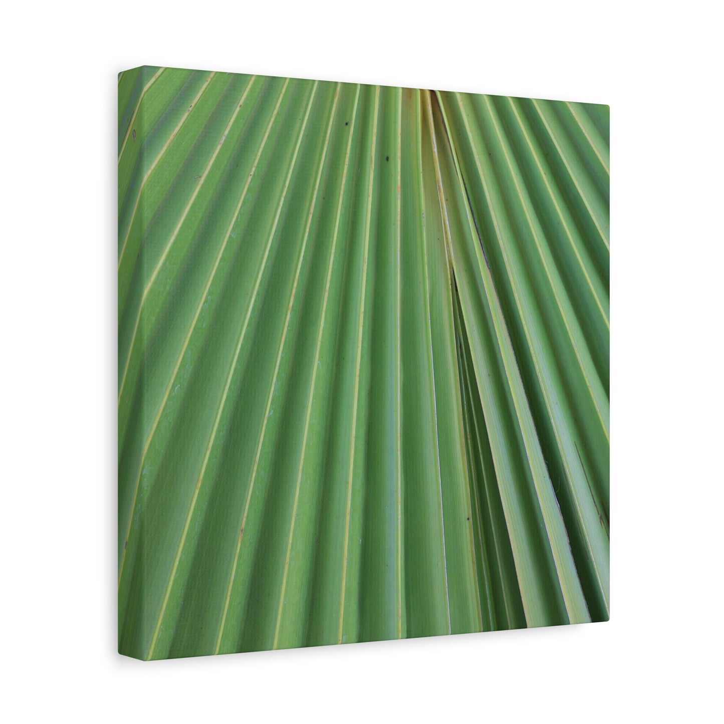 Fan of Green - Unique Frameless Canvas Wall Art