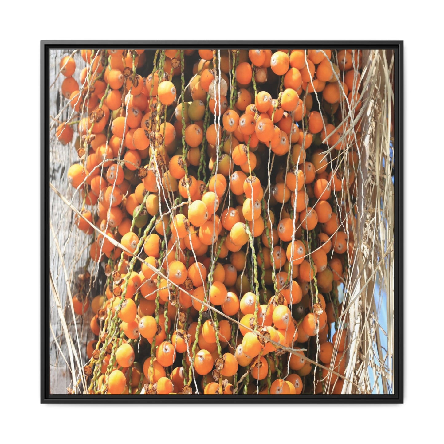 Clusters of Sunlight - Unique Canvas Wall Art