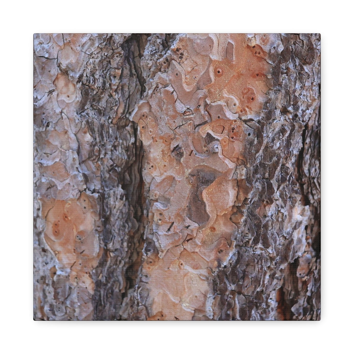 Terracotta Textures - Unique Frameless Canvas Wall Art