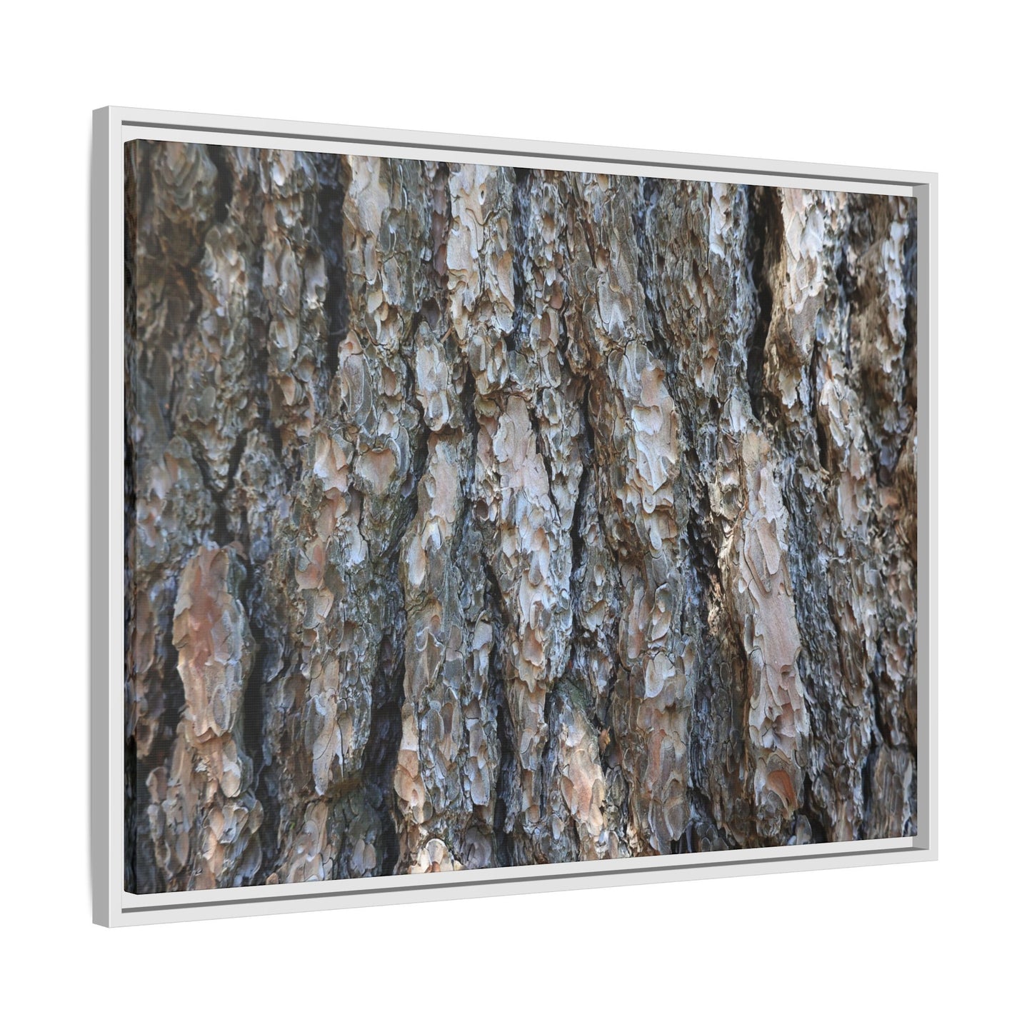 Bark Whispers - Unique Stretched Canvas Wall Art