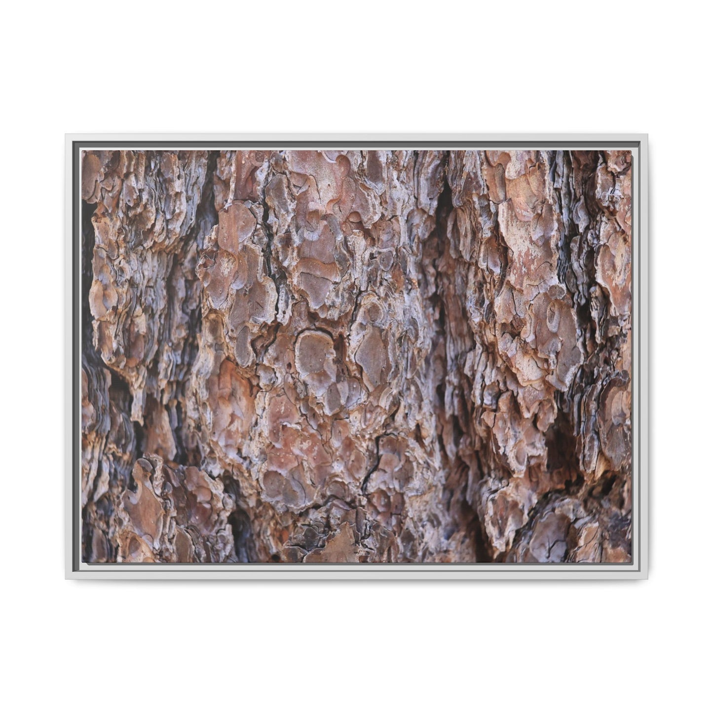 Woody Layers - Unique Stretched Canvas Wall Art
