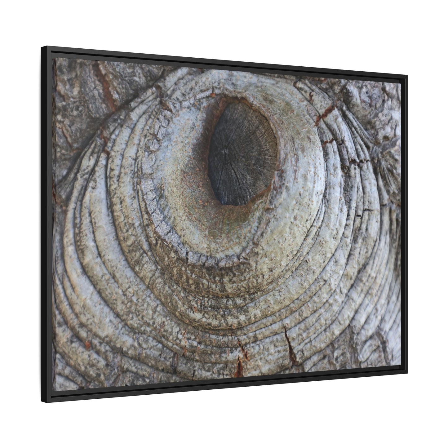Echoes of Time - Unique Stretched Canvas Wall Art