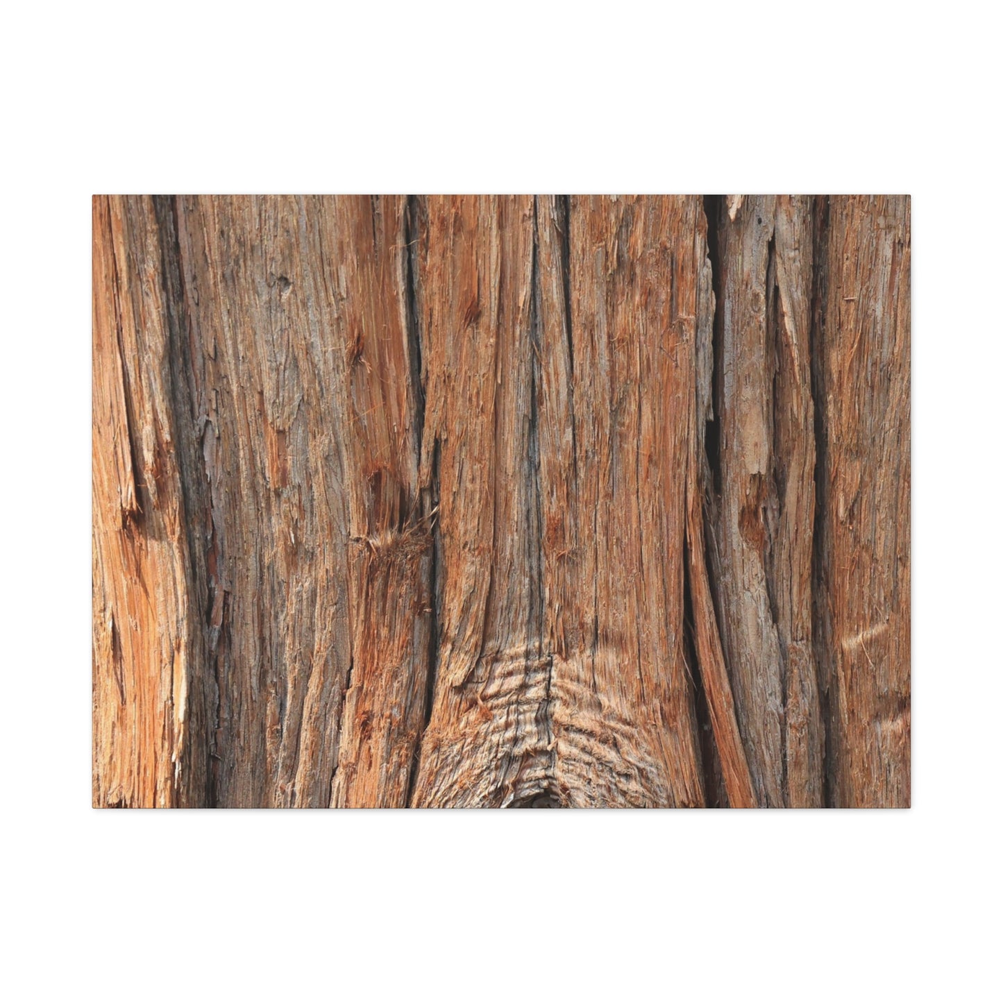 Bark's Ancient Whispers - Unique Frameless Canvas Wall Art