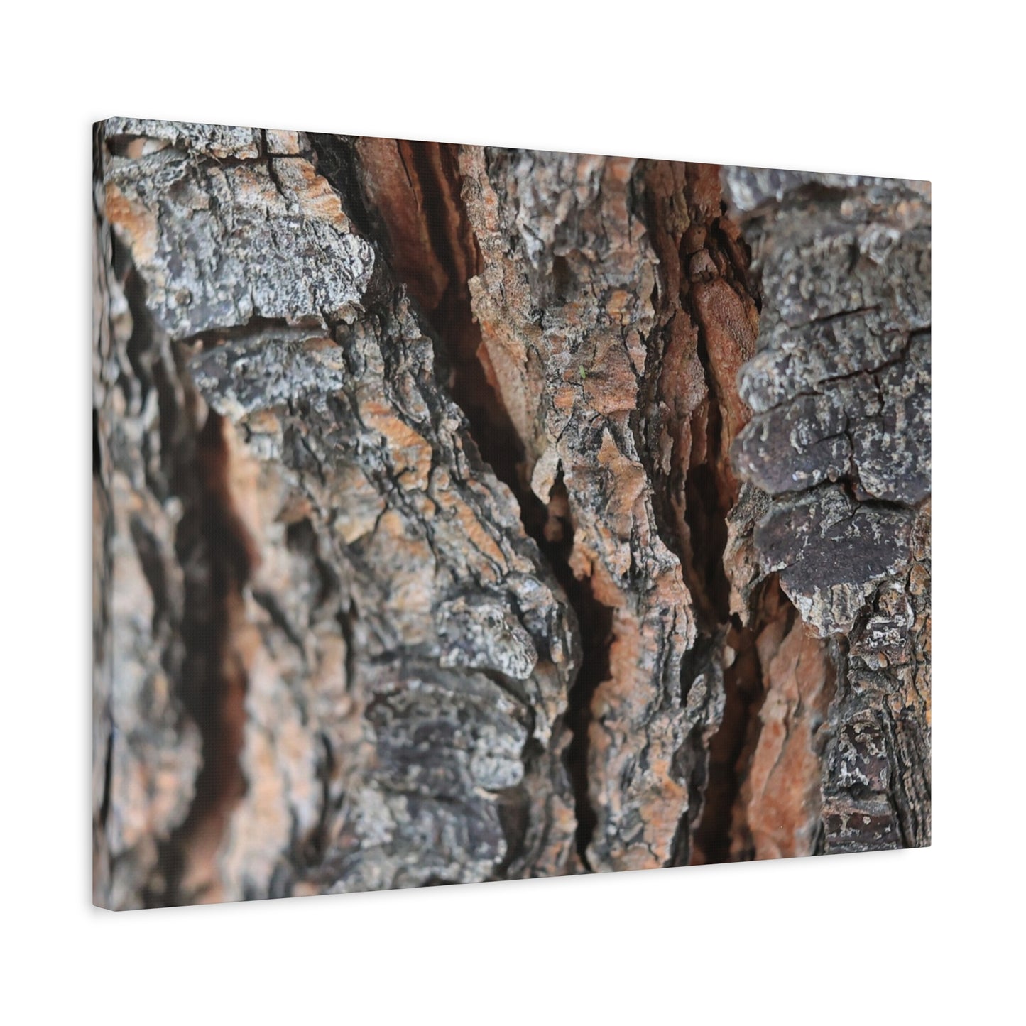 Rough Whispers - Unique Frameless Canvas Wall Art