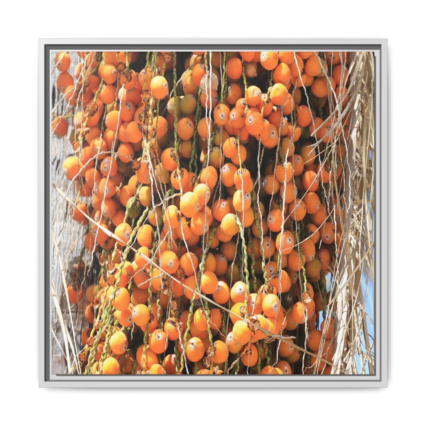 Clusters of Sunlight - Unique Canvas Wall Art