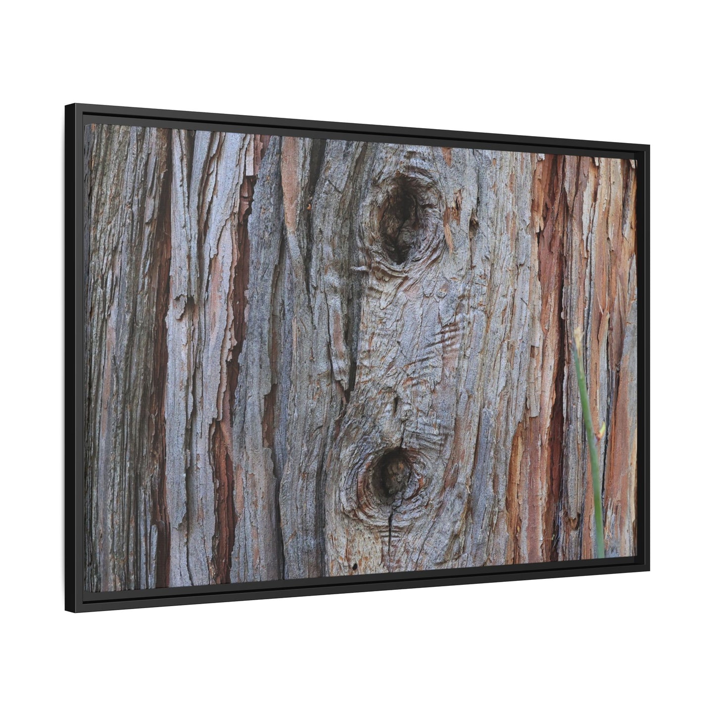 Knotty Nature - Unique Stretched Canvas Wall Art