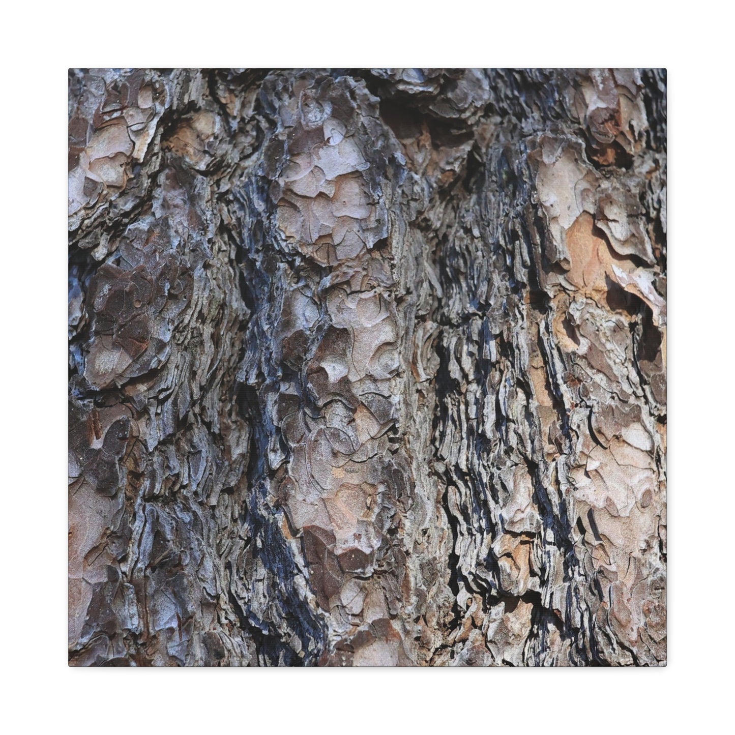 Bark's Rugged Symphony - Unique Frameless Canvas Wall Art